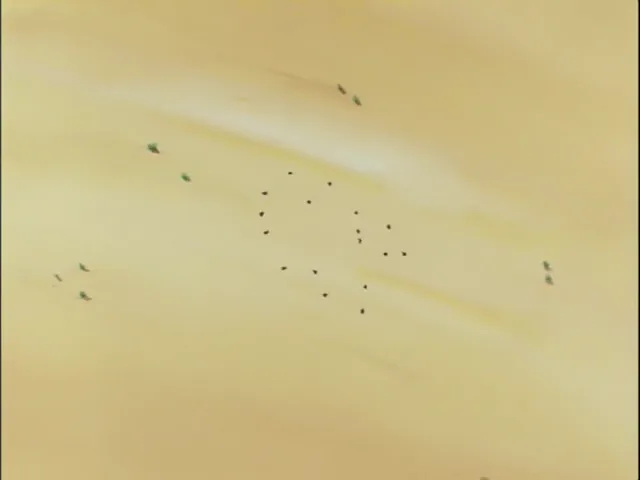 Scène de l'épisode 32