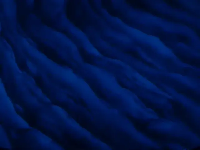 Aperçu animé — Le trésor existe