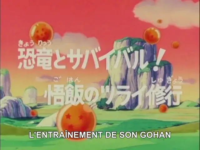 Aperçu animé — L'Entraînement de Son Gohan