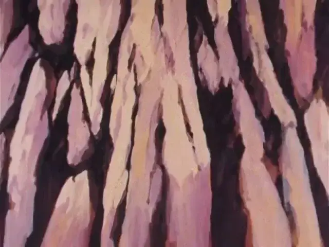 Aperçu animé — Une lutte interminable