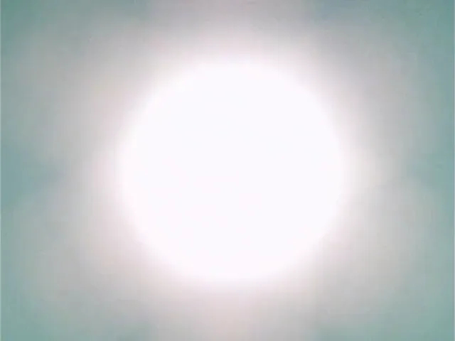 Scène de l'épisode 173