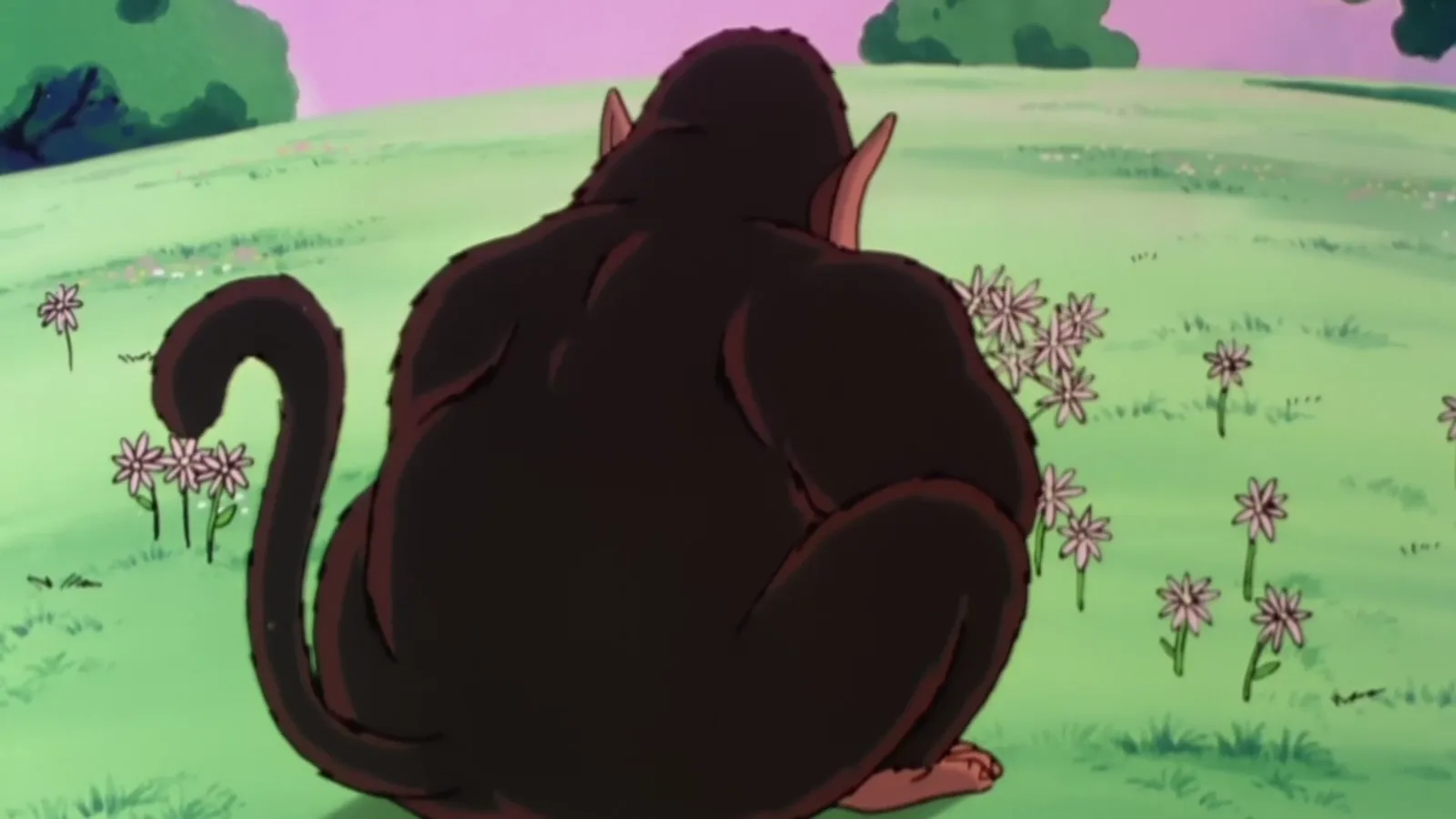Scène de l'épisode 24