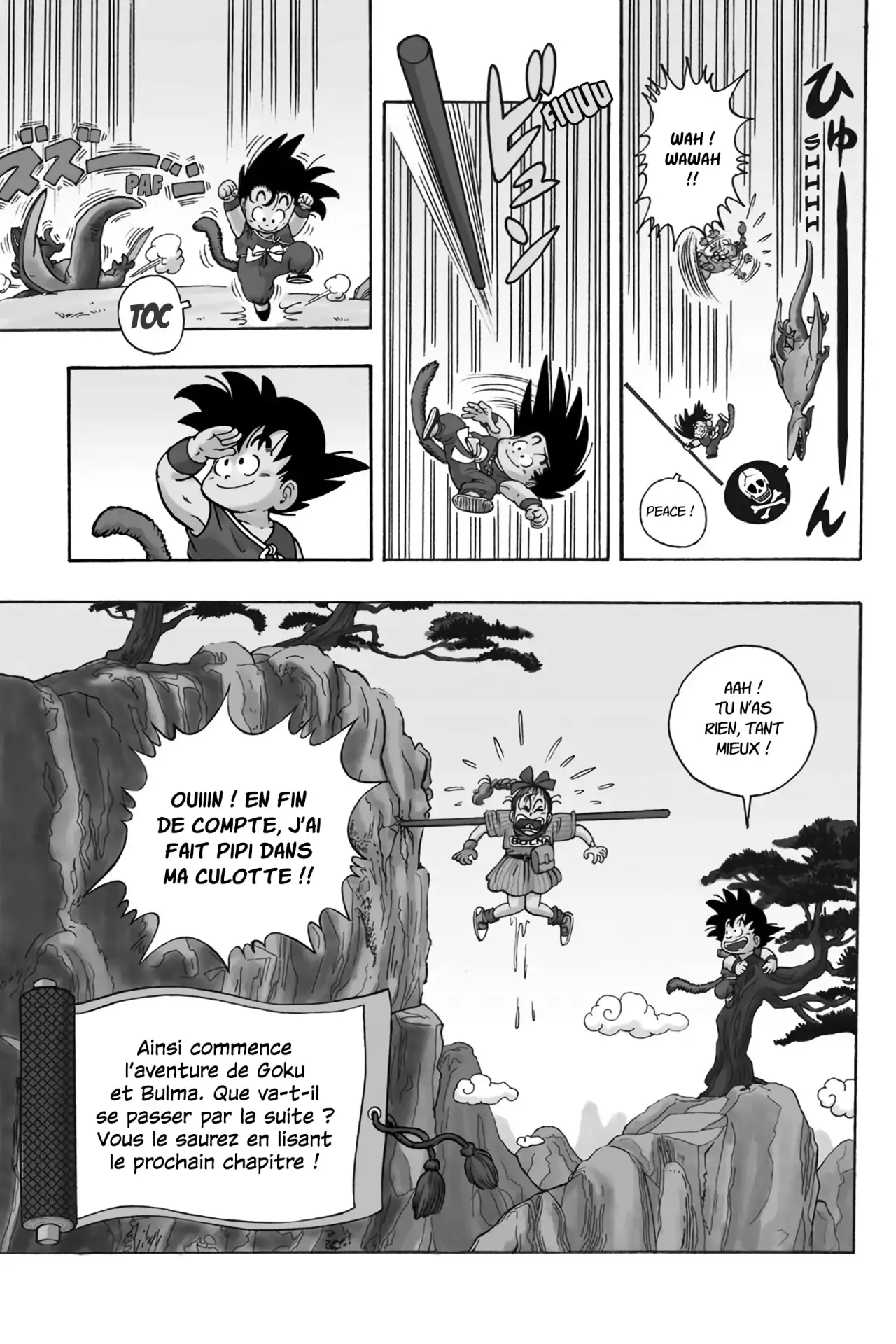 Chapitre 1 — page 33