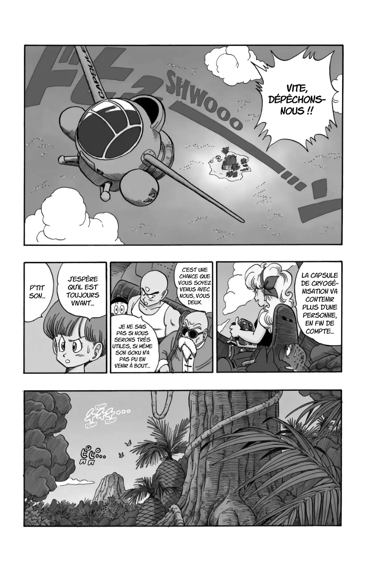 Chapitre 12 — page 45