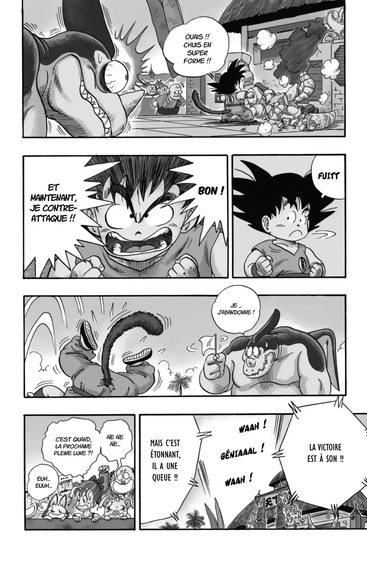 Chapitre 3 — page 211