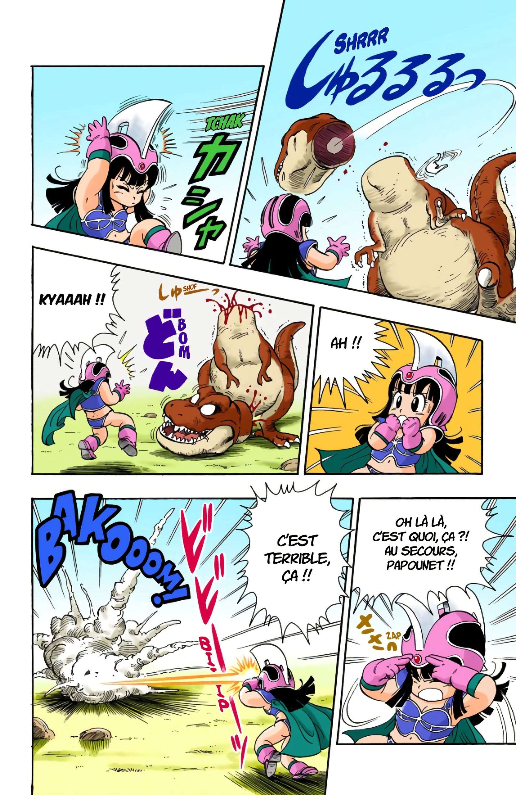 Chapitre 11 — Le mont Fry Pan et Gyumao — page 8