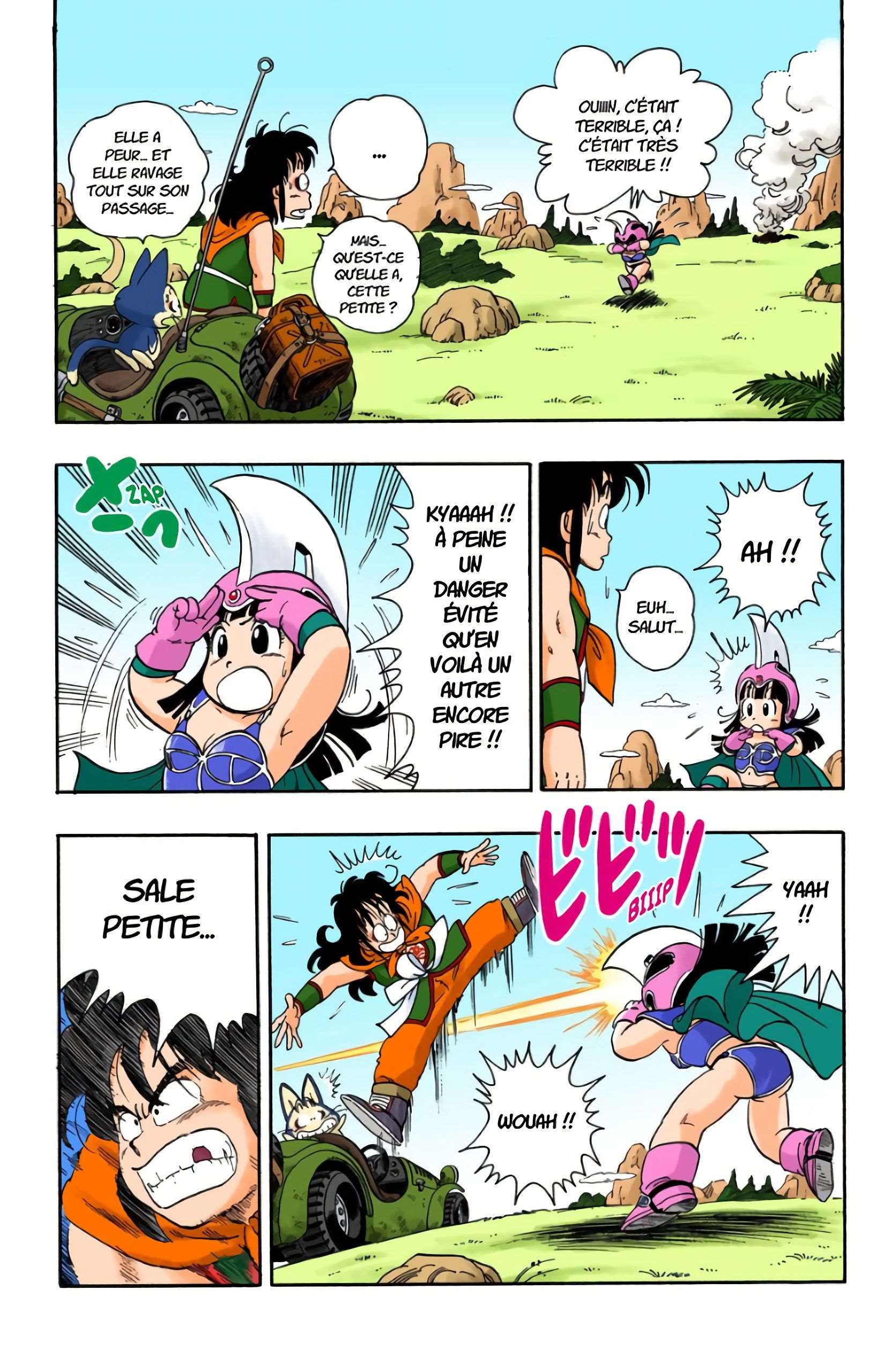 Chapitre 11 — Le mont Fry Pan et Gyumao — page 9