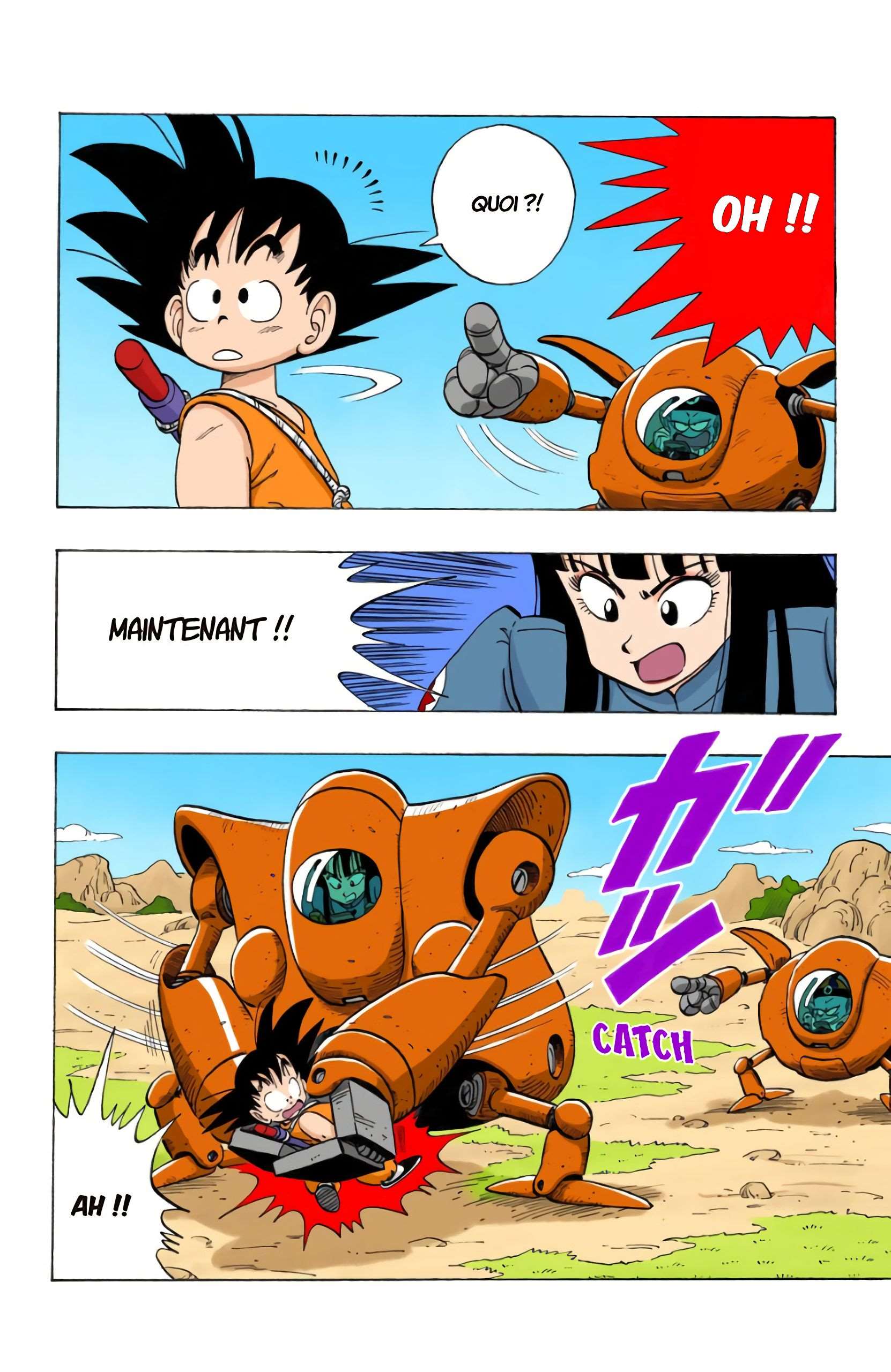Chapitre 110 — La grande stratégie de Pilaf — page 6