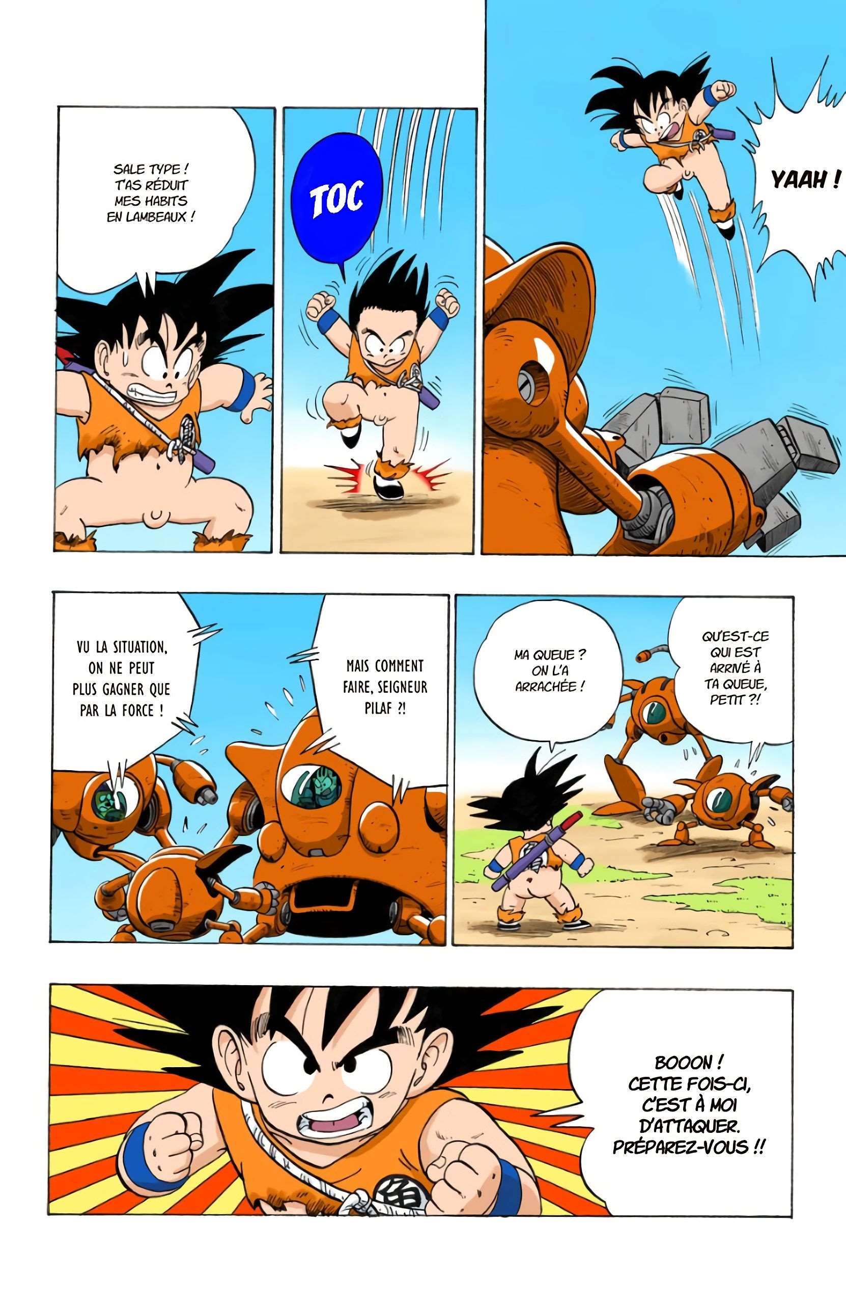 Chapitre 110 — La grande stratégie de Pilaf — page 10