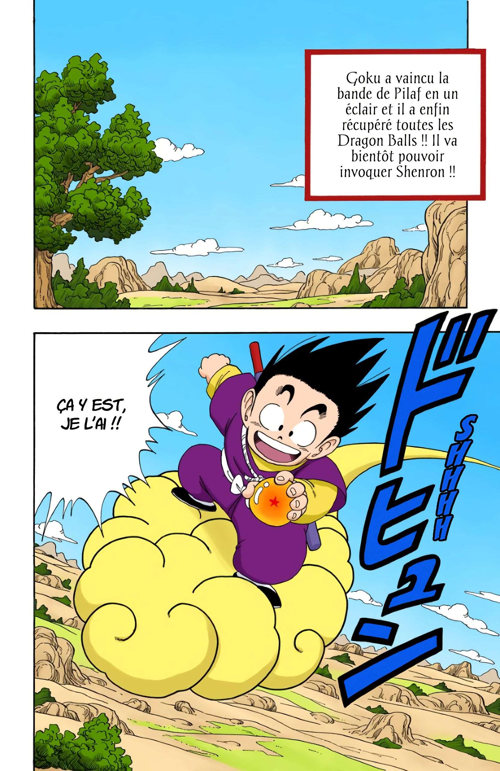 Chapitre 111 — Le retour de Shenron !! — page 2