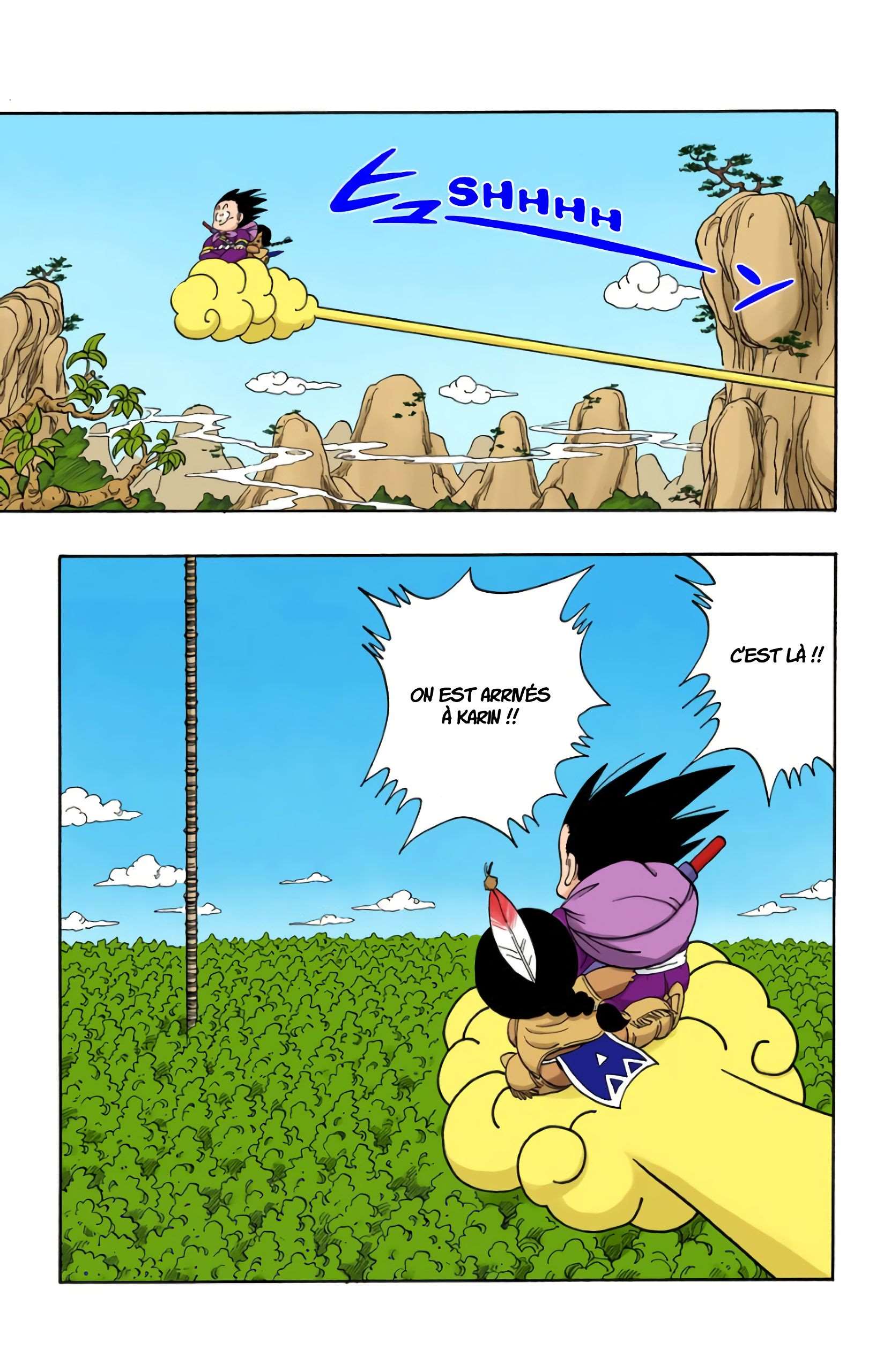 Chapitre 111 — Le retour de Shenron !! — page 7