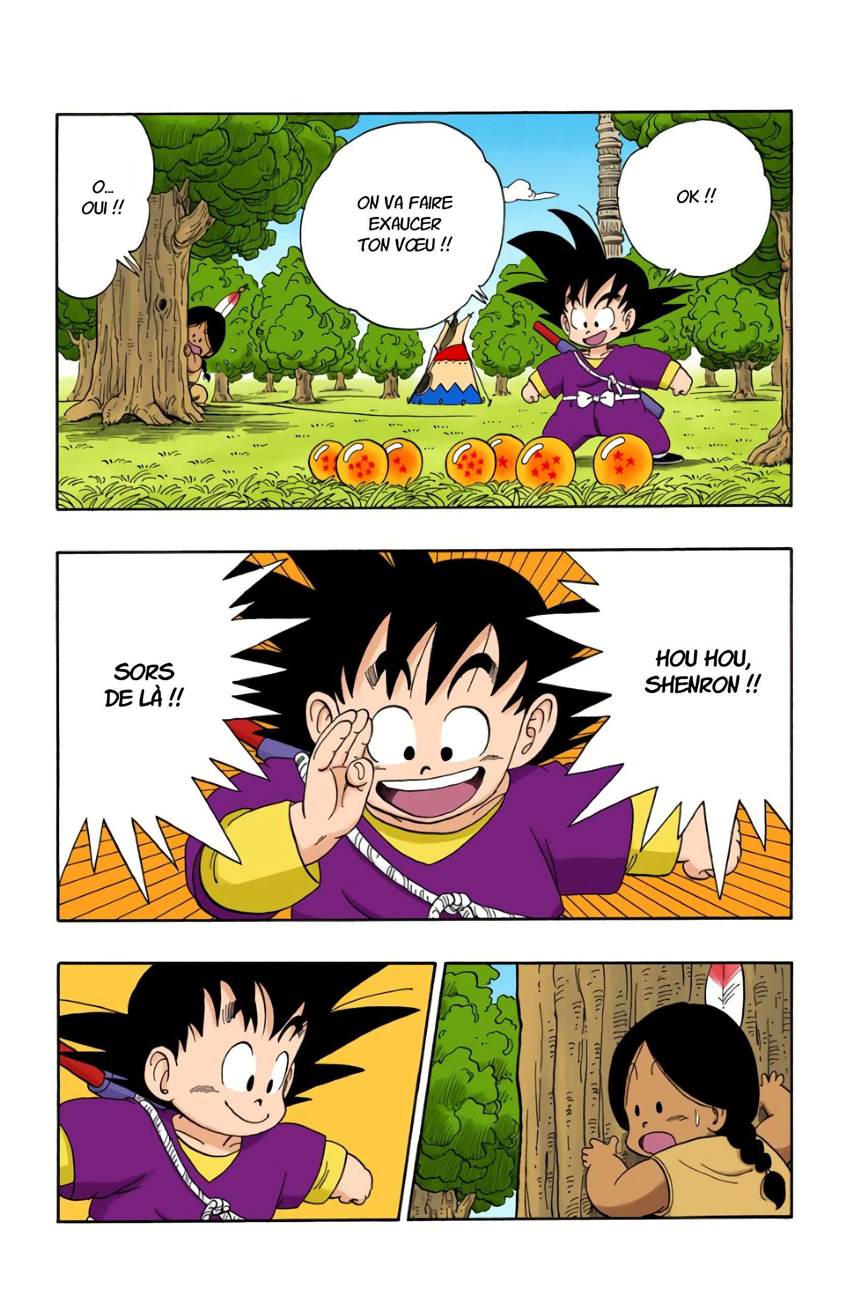 Chapitre 111 — Le retour de Shenron !! — page 9
