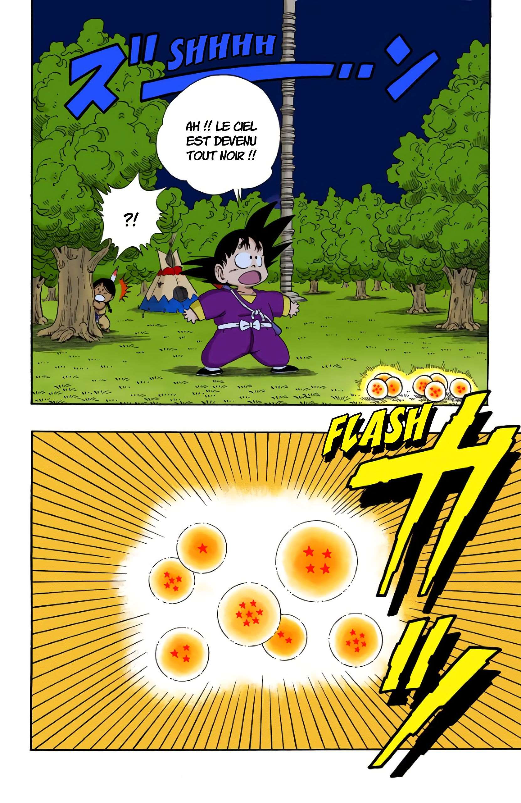 Chapitre 111 — Le retour de Shenron !! — page 10