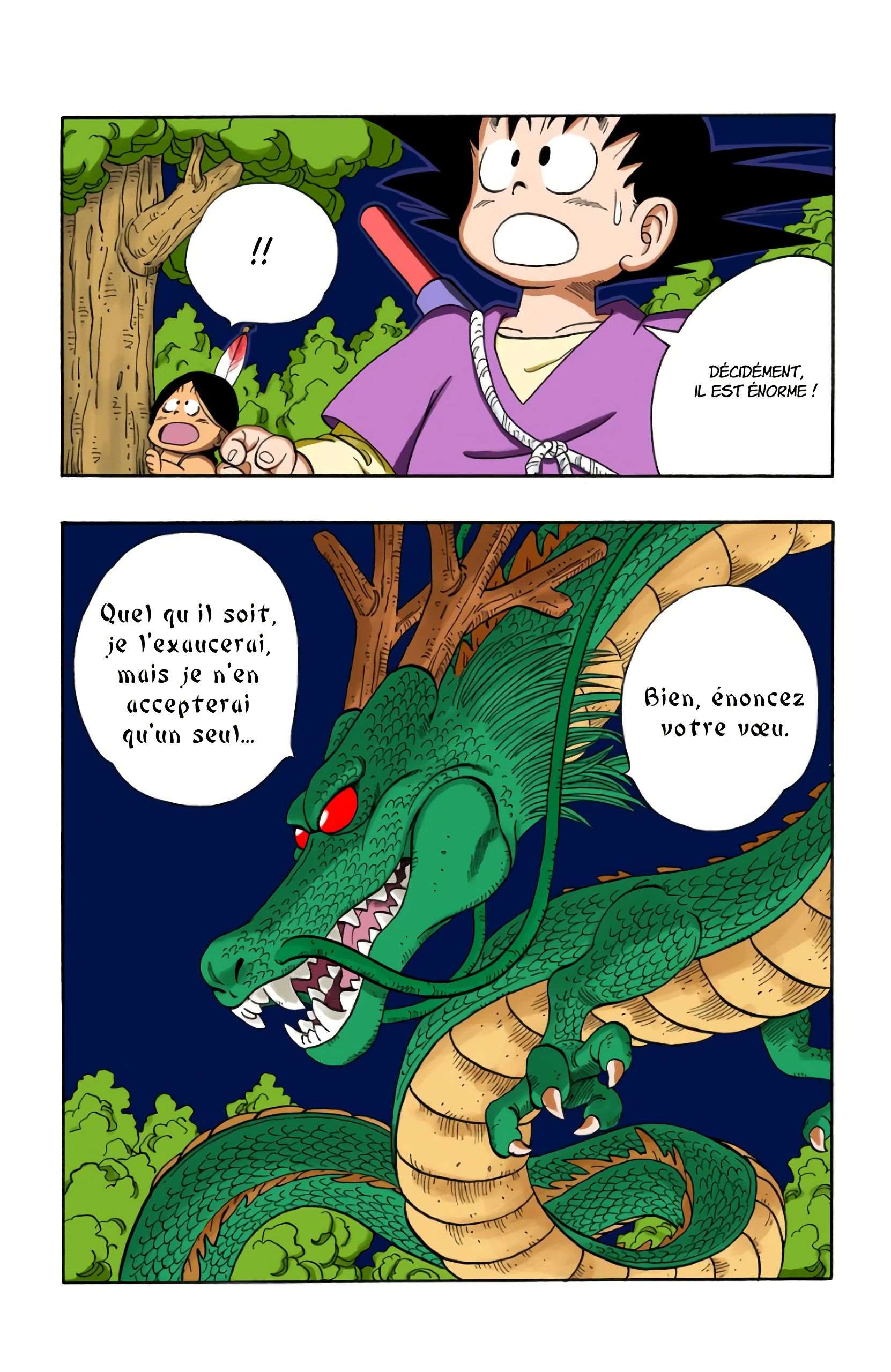 Chapitre 111 — Le retour de Shenron !! — page 13