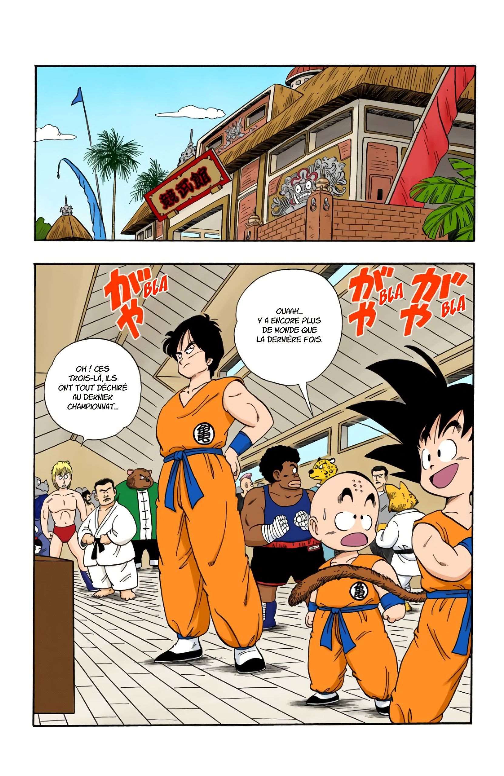 Chapitre 113 — Le 22e Tenkaichi Budokai — page 15