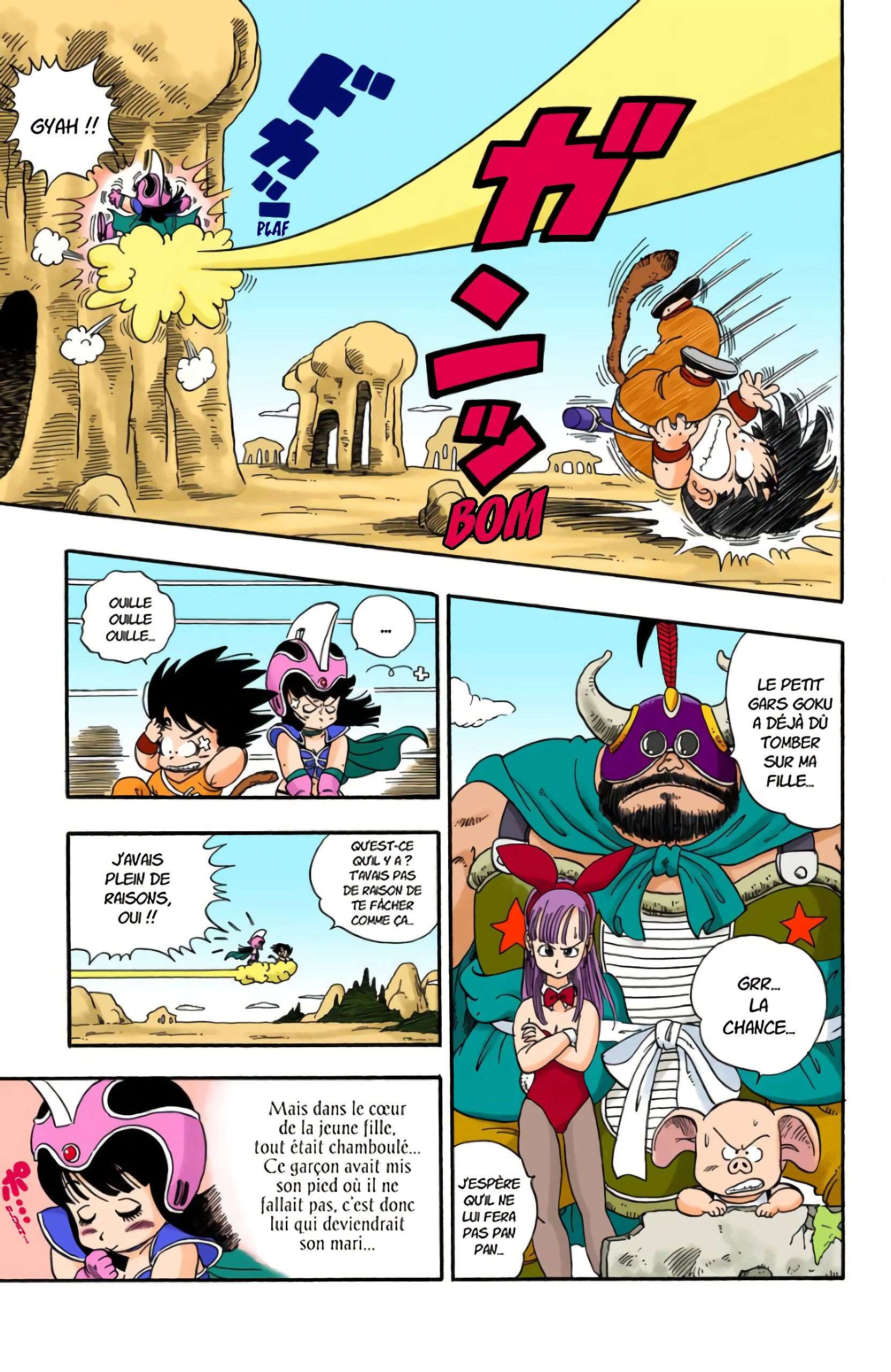 Chapitre 12 — À la recherche de Kamé Sennin — page 13
