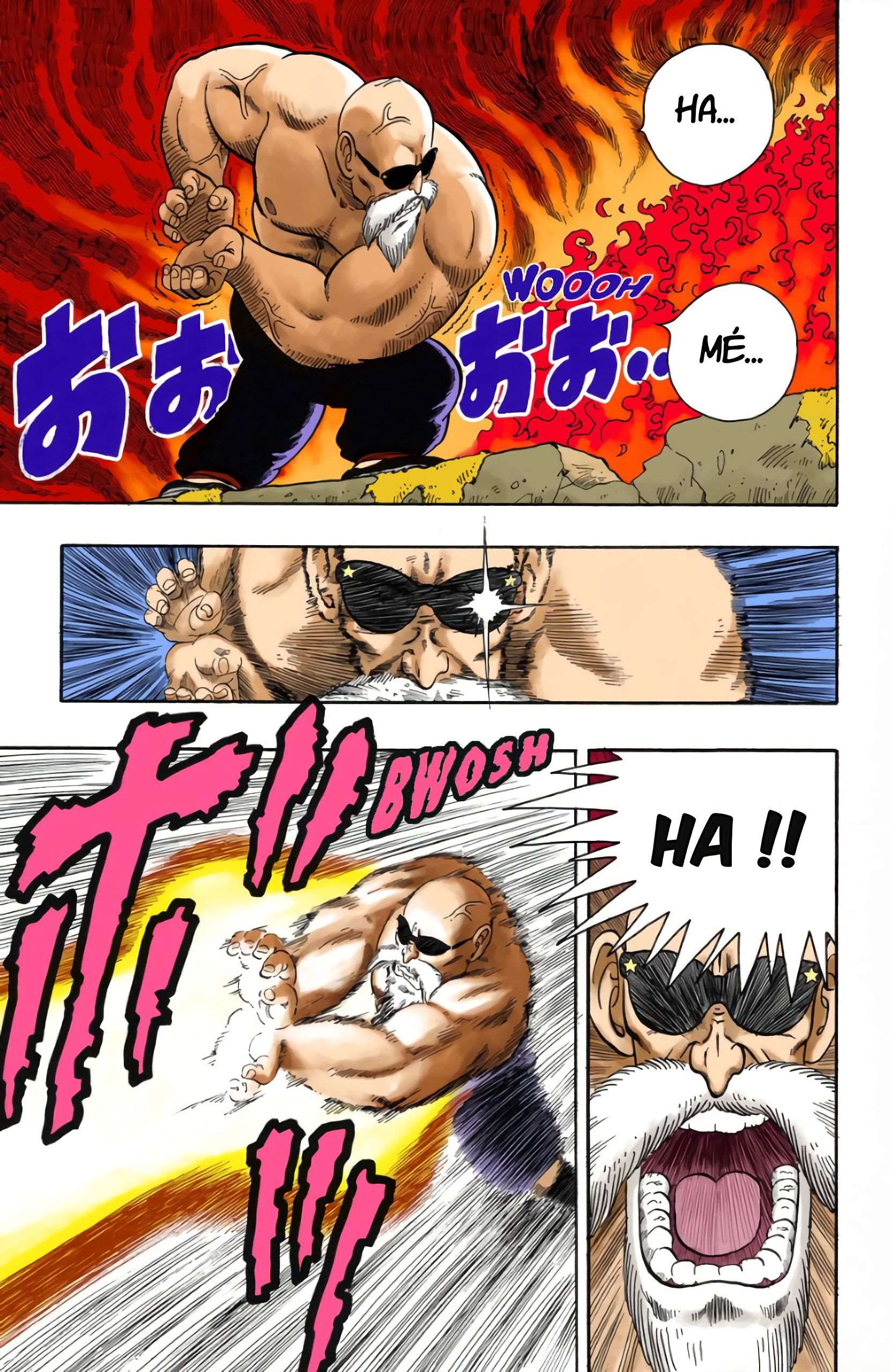 Chapitre 14 — Le Kamé Hamé Ha de Kamé Sennin !! — page 12