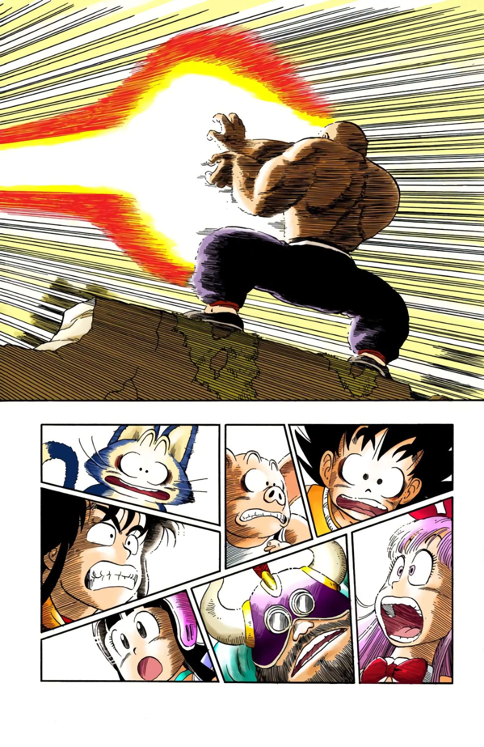 Chapitre 14 — Le Kamé Hamé Ha de Kamé Sennin !! — page 13