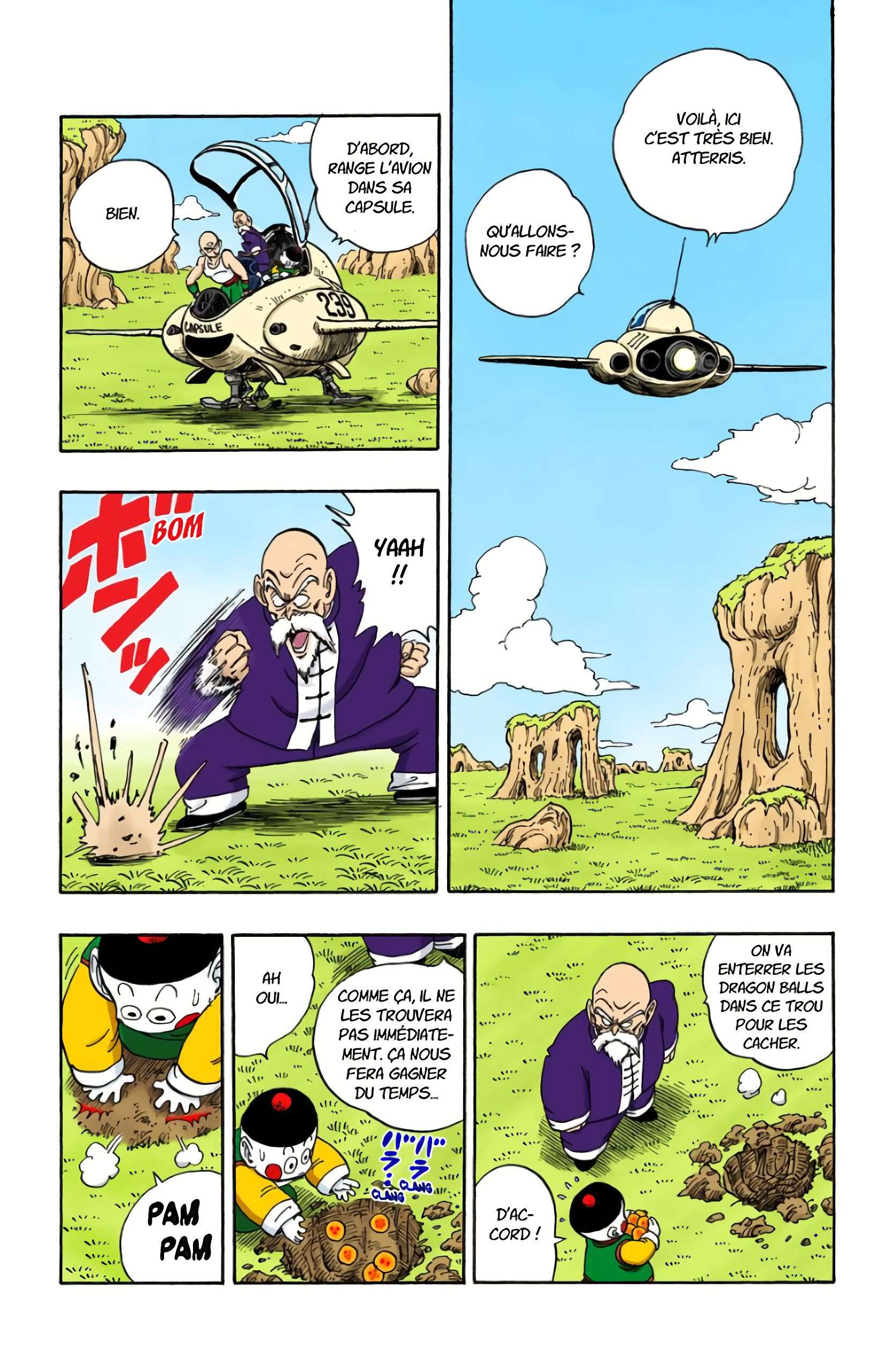 Chapitre 145 — La décision de Muten Roshi — page 6