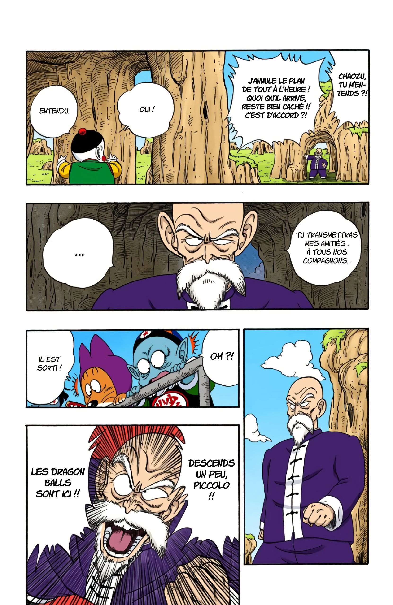 Chapitre 145 — La décision de Muten Roshi — page 13