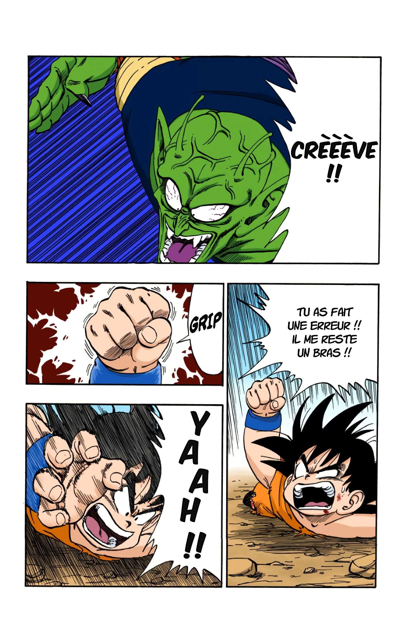 Chapitre 160 — L'ultime pari de Son Goku ! — page 10