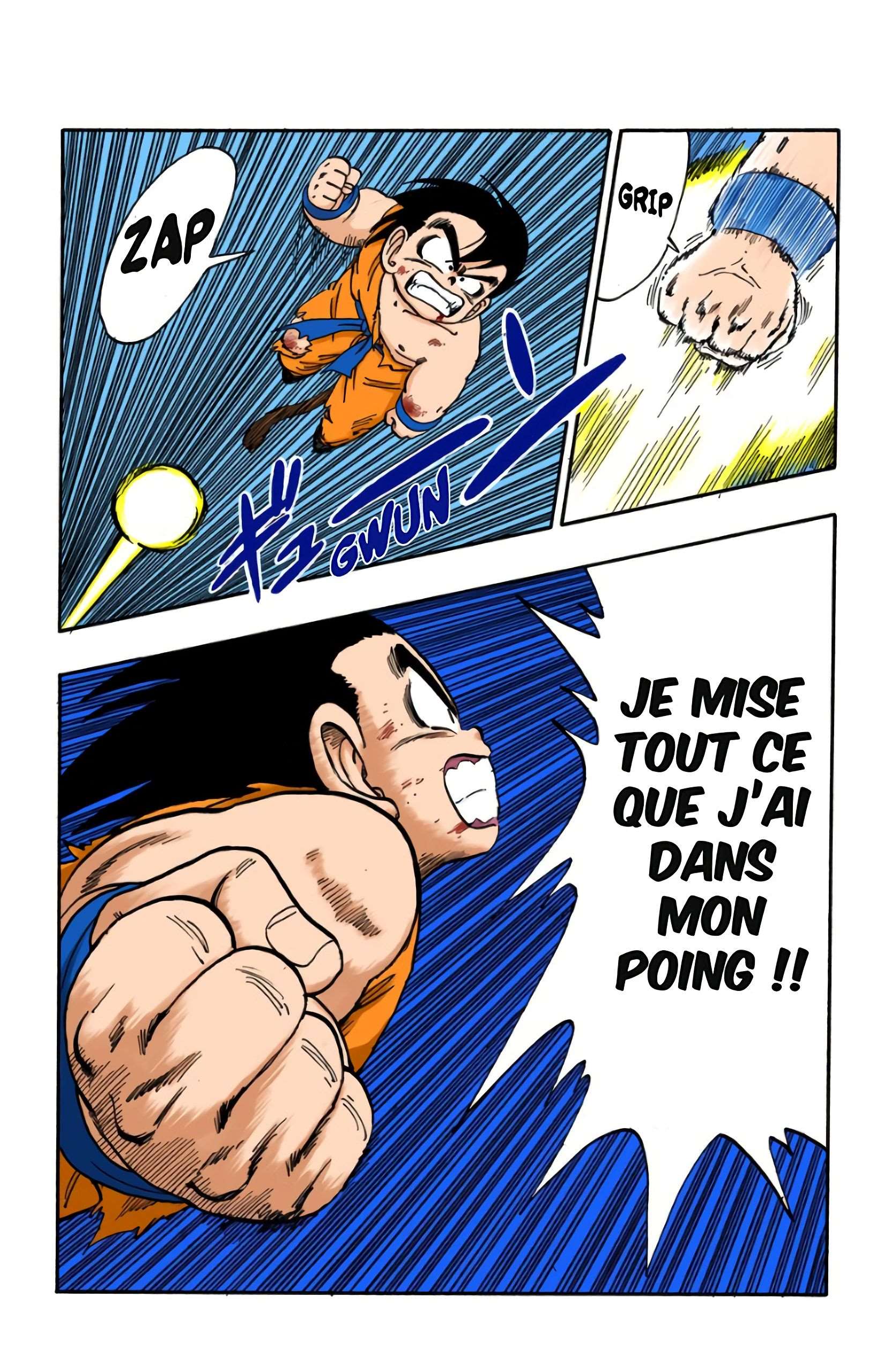 Chapitre 160 — L'ultime pari de Son Goku ! — page 14