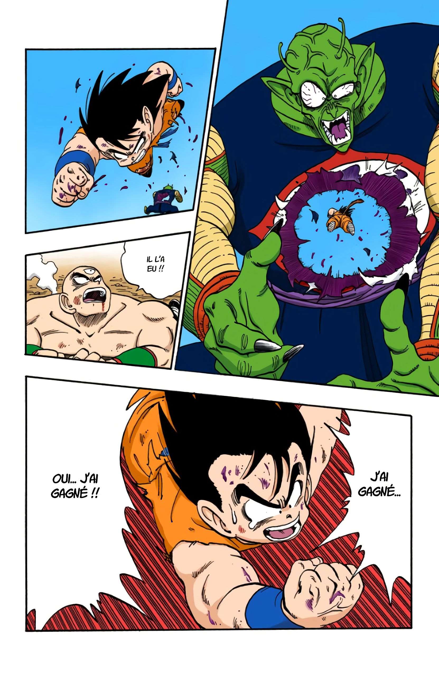 Chapitre 161 — La victoire de Son Goku !! — page 6