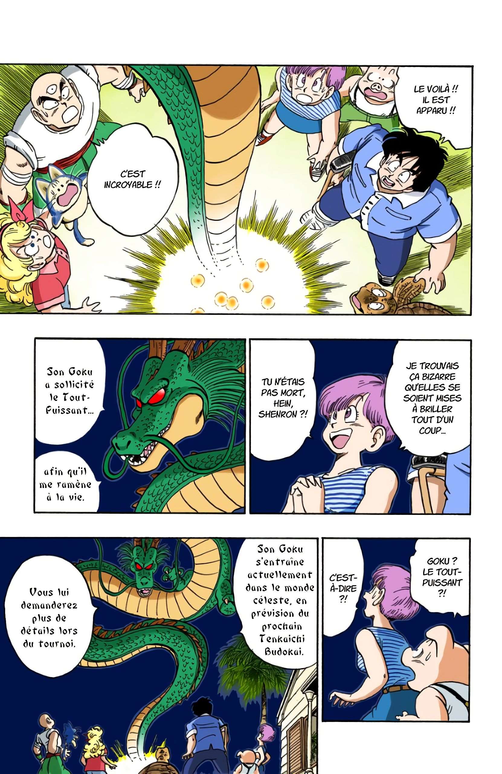 Chapitre 165 — Le retour de Shenron !! — page 9
