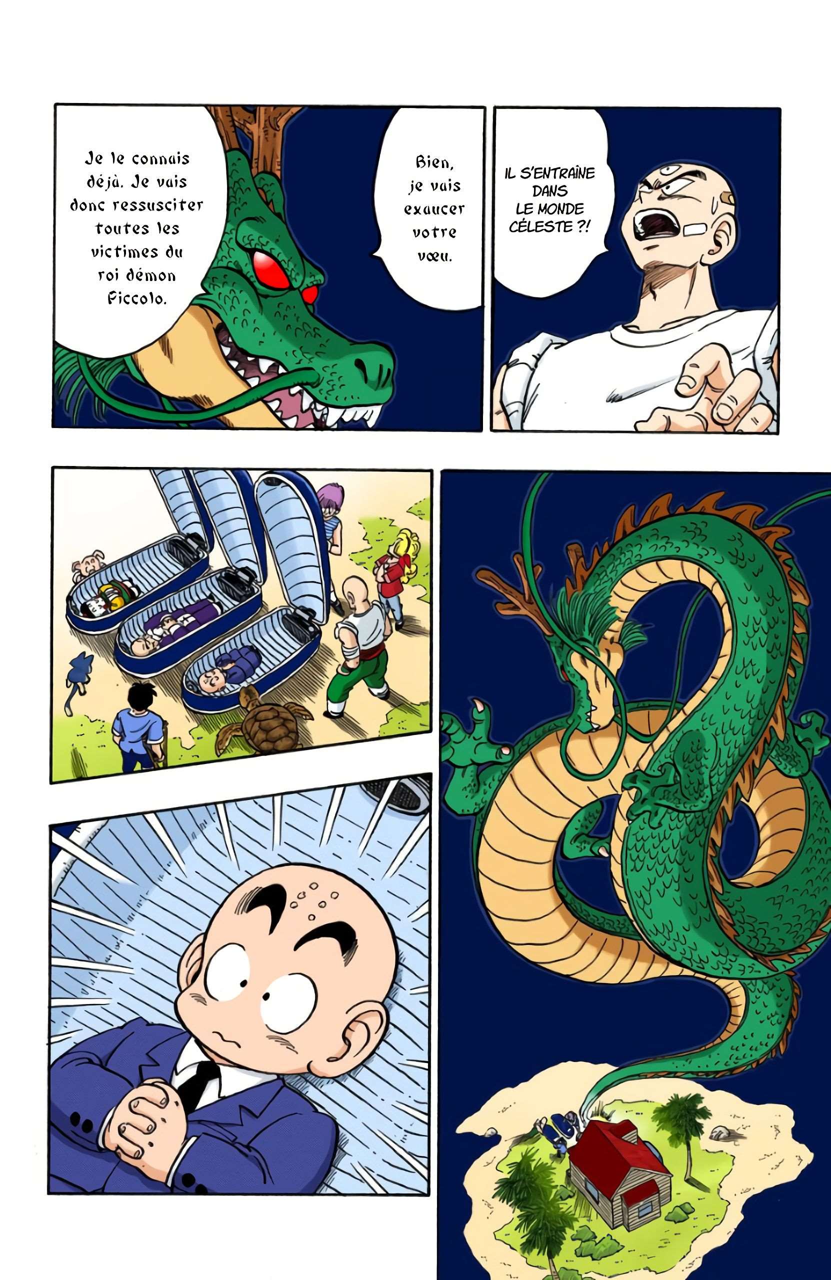 Chapitre 165 — Le retour de Shenron !! — page 10