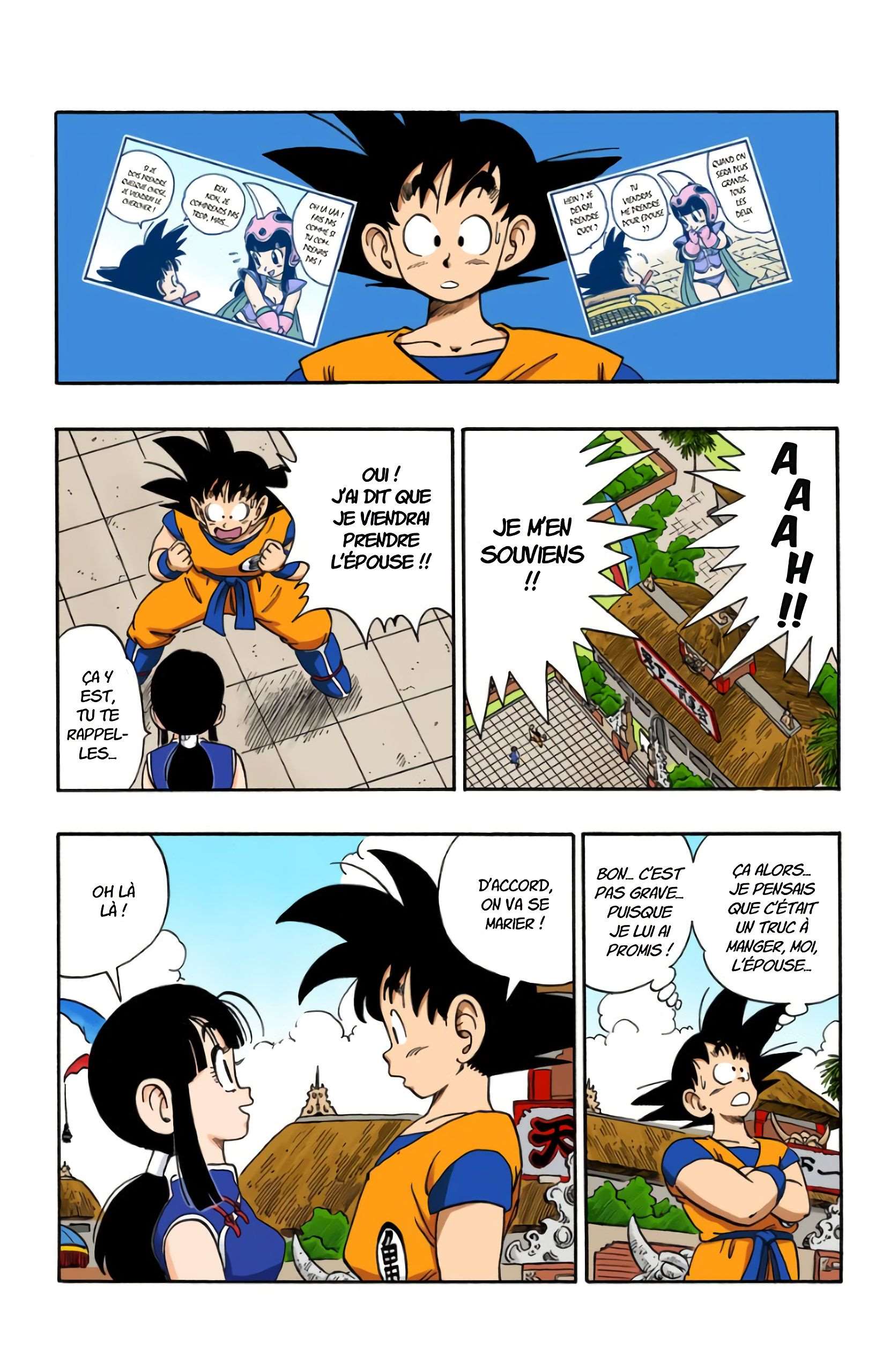 Chapitre 171 — Le mariage de Son Goku — page 15