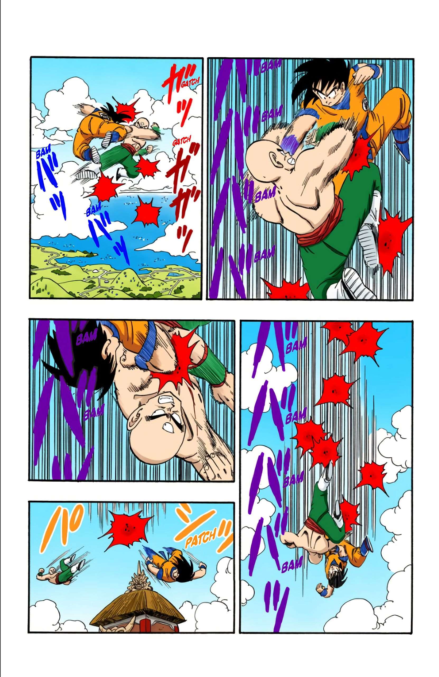 Chapitre 176 — Son Goku VS Ten Shin Han — page 8