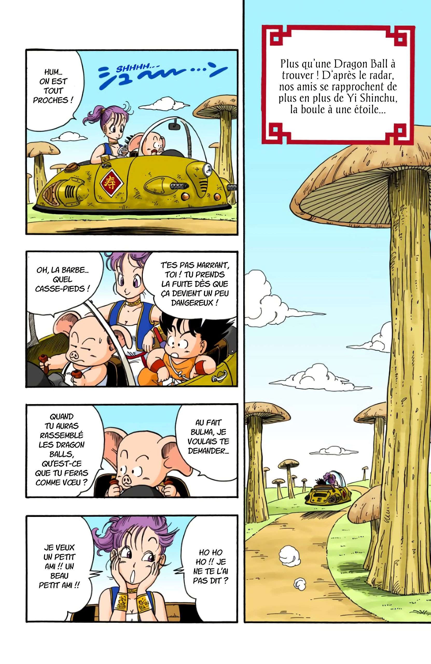 Chapitre 18 — On a volé les Dragon Balls !! — page 1