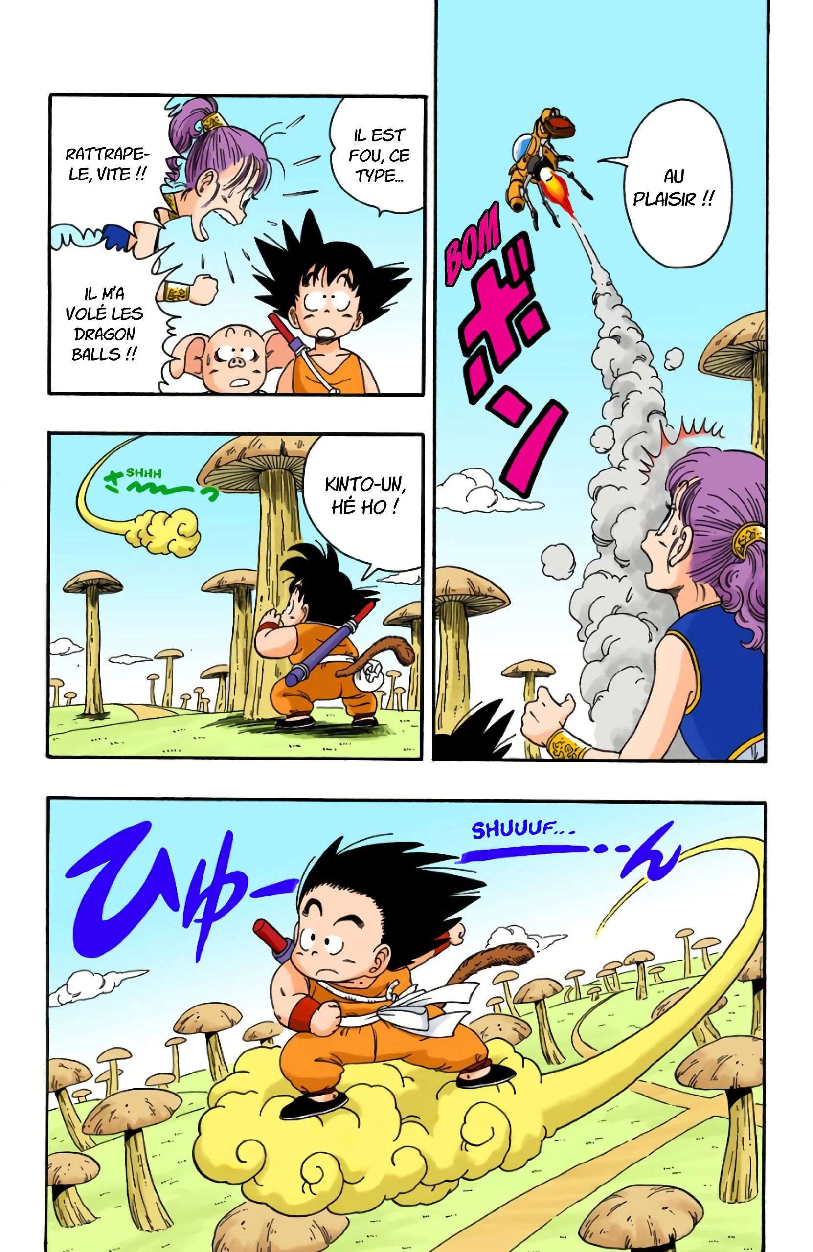 Chapitre 18 — On a volé les Dragon Balls !! — page 6