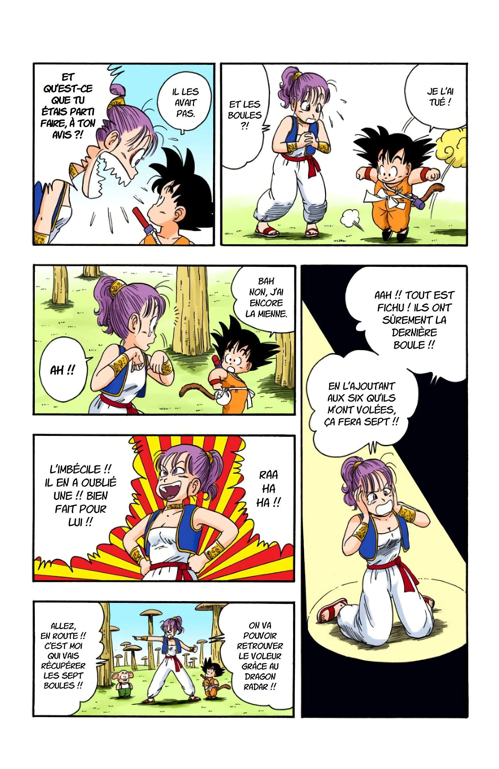 Chapitre 18 — On a volé les Dragon Balls !! — page 9