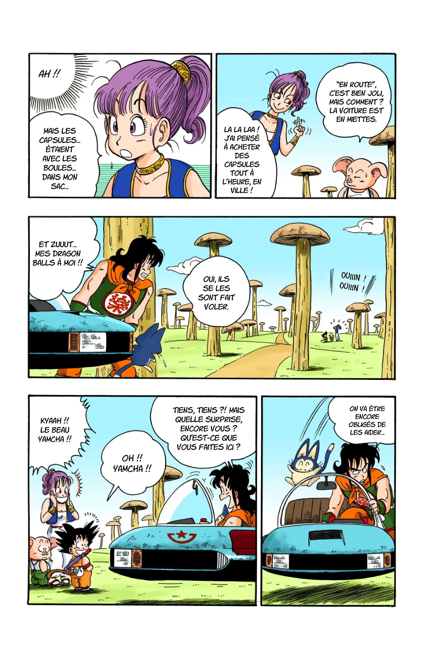 Chapitre 18 — On a volé les Dragon Balls !! — page 10