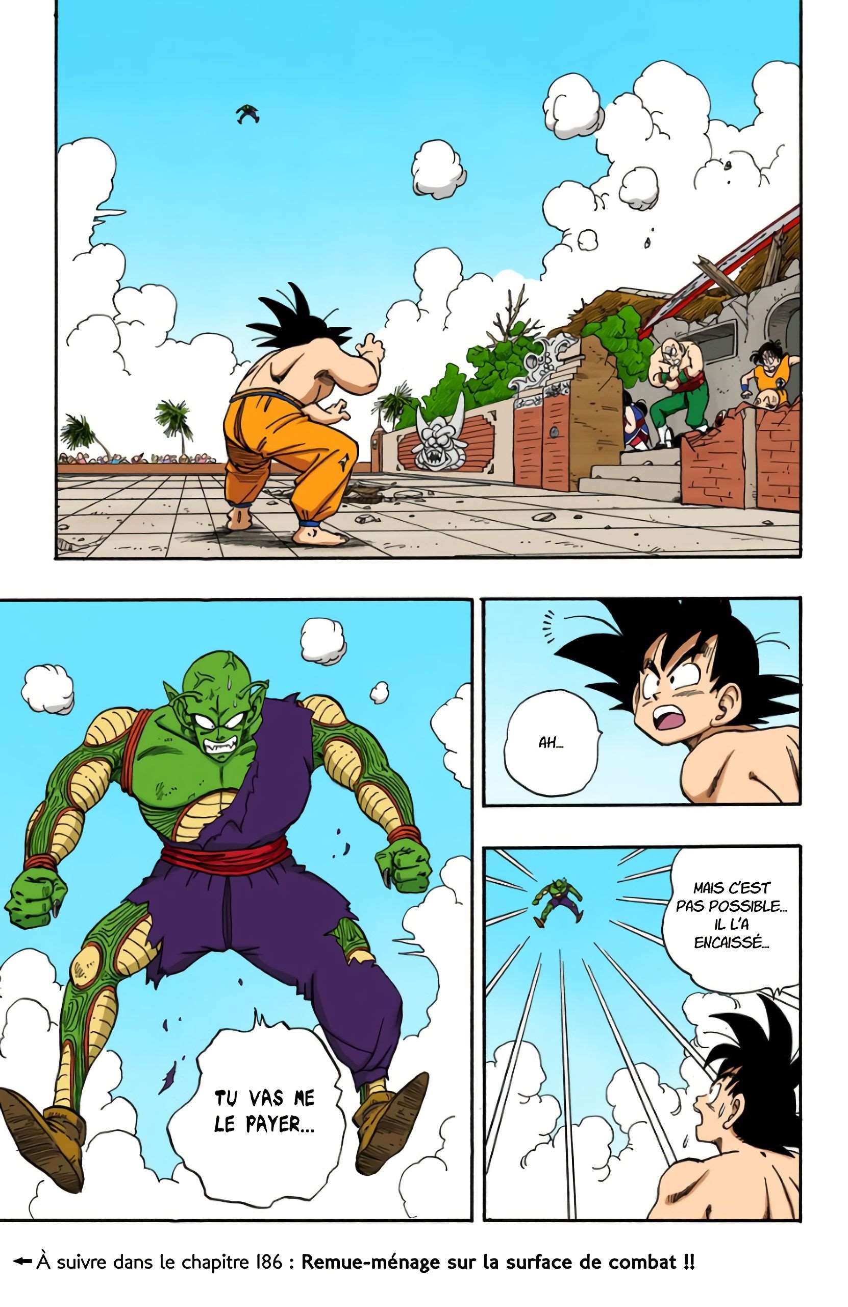 Chapitre 185 — Le Super Kamé Hamé Ha — page 15