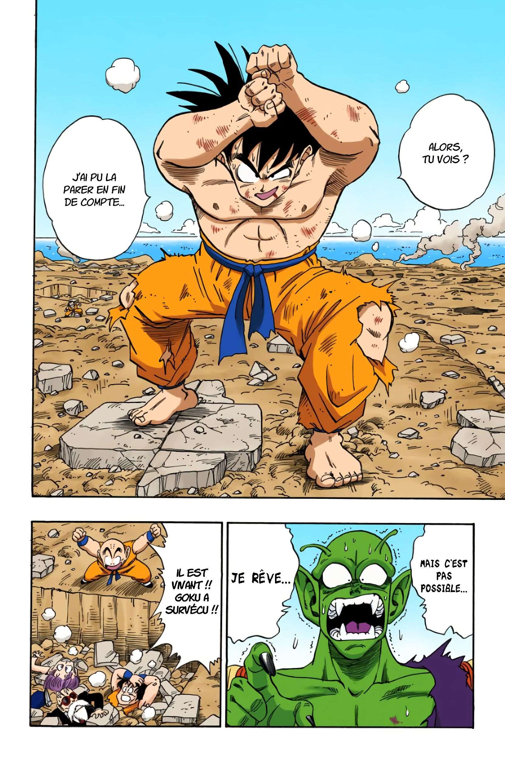 Chapitre 190 — Tiens bon, Son Gokû !! — page 14