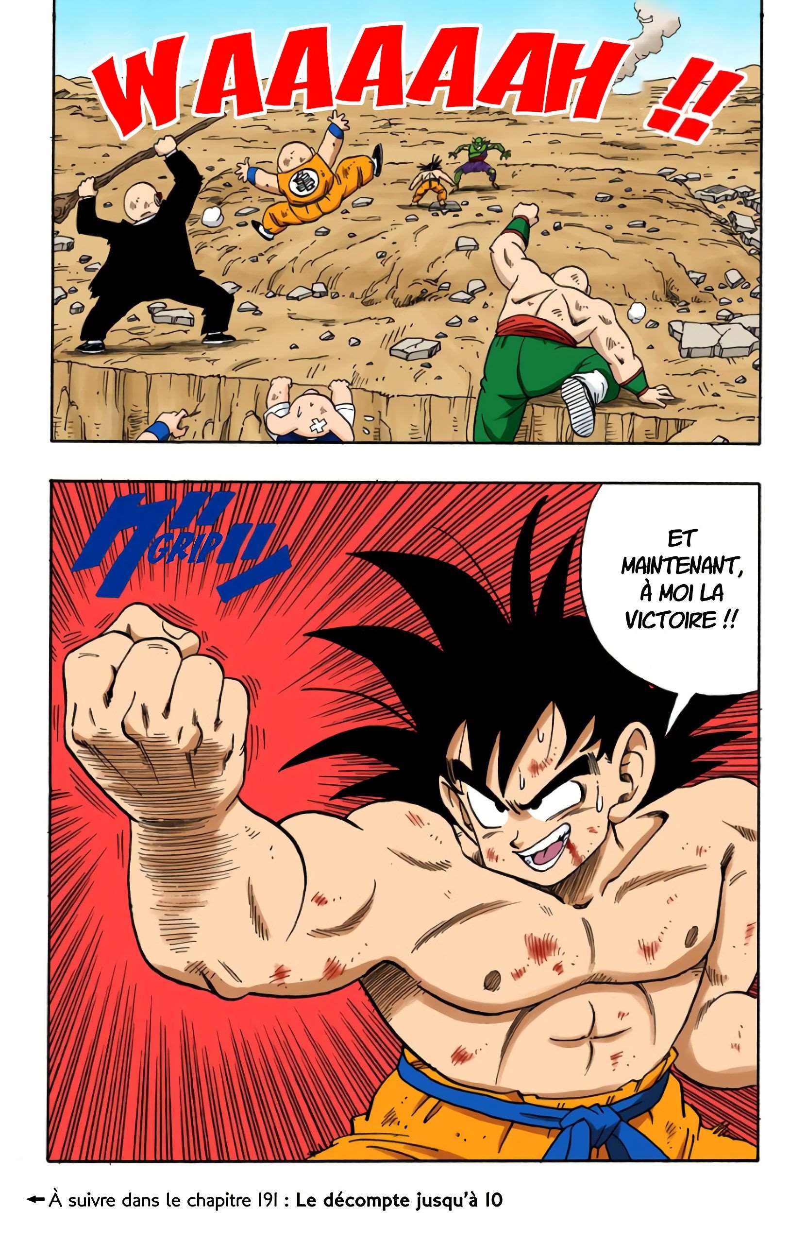 Chapitre 190 — Tiens bon, Son Gokû !! — page 15