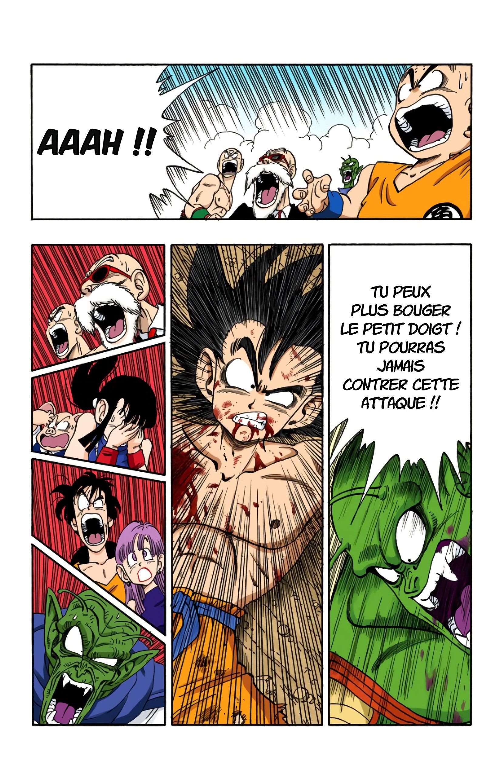 Chapitre 193 — Le point culminant du Tenka Ichi Budôkai !! — page 3