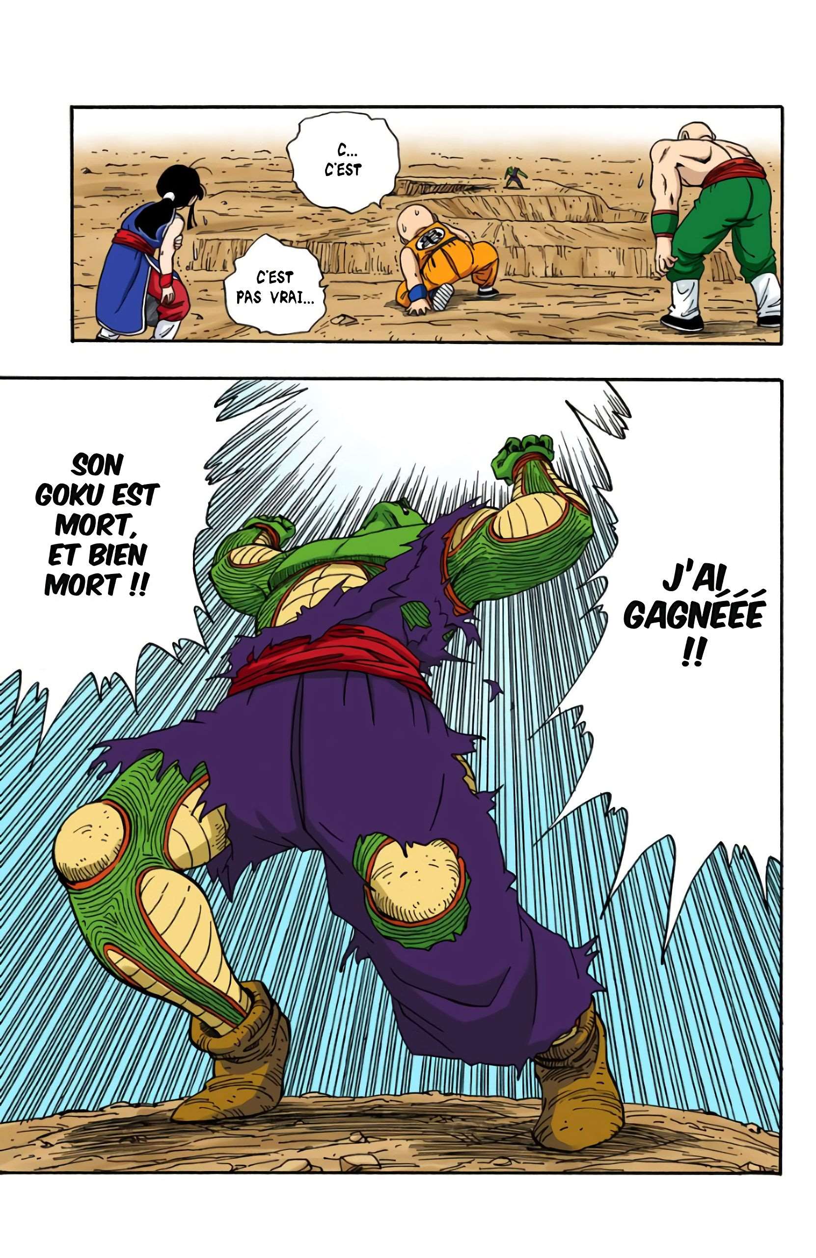 Chapitre 193 — Le point culminant du Tenka Ichi Budôkai !! — page 7