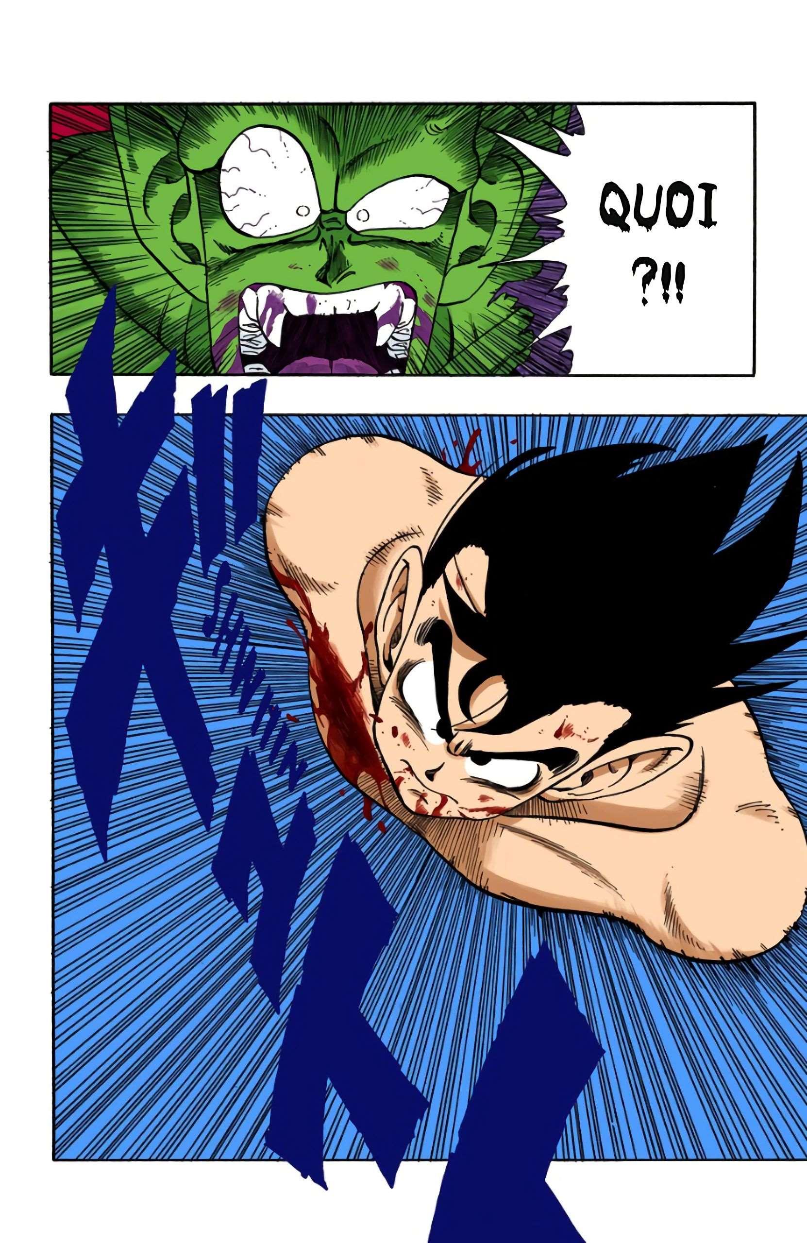 Chapitre 193 — Le point culminant du Tenka Ichi Budôkai !! — page 10