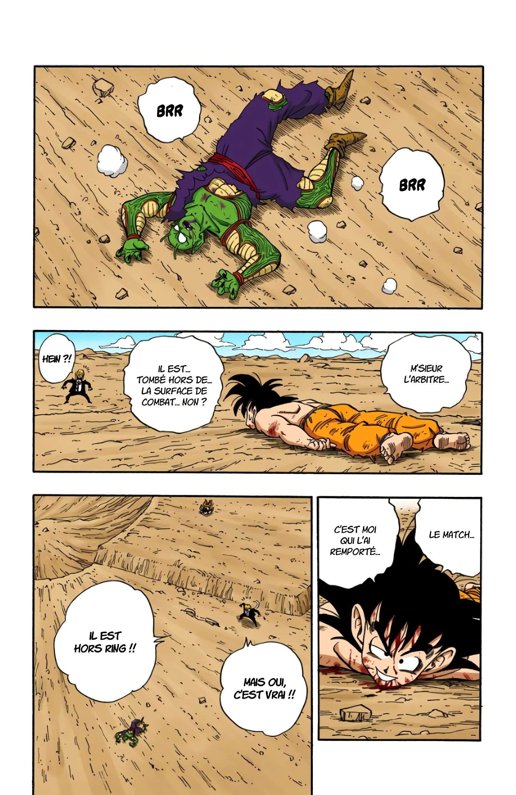 Chapitre 193 — Le point culminant du Tenka Ichi Budôkai !! — page 14