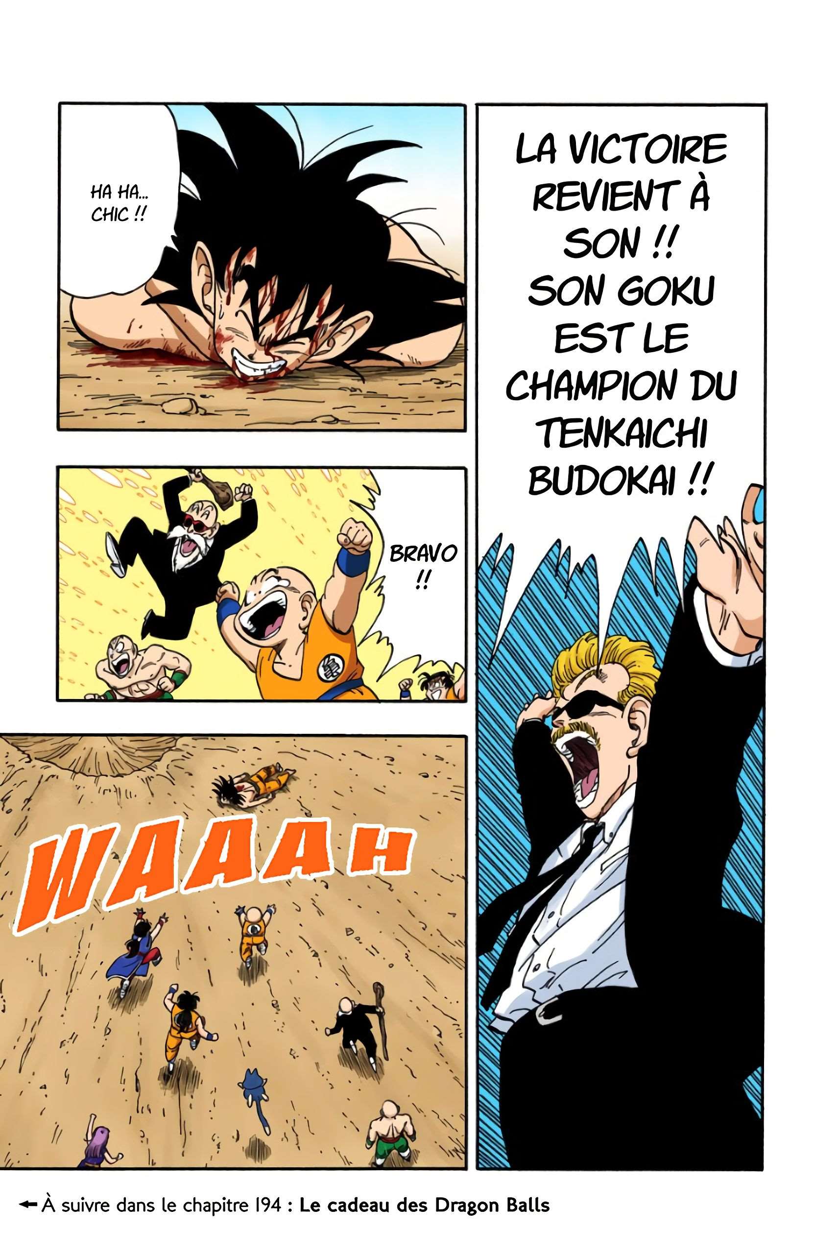 Chapitre 193 — Le point culminant du Tenka Ichi Budôkai !! — page 15
