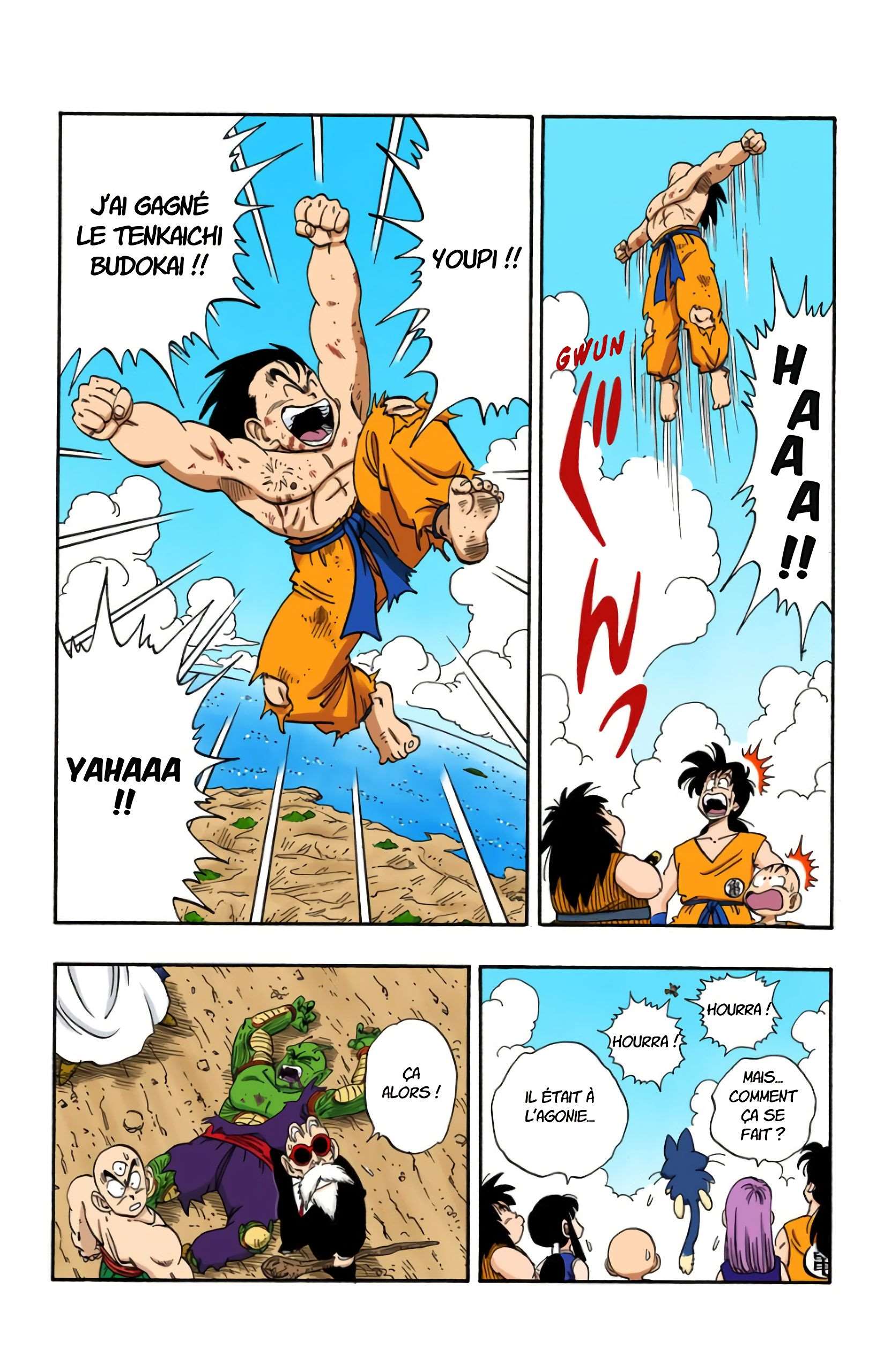 Chapitre 194 — Le cadeau des Dragon Balls — page 4