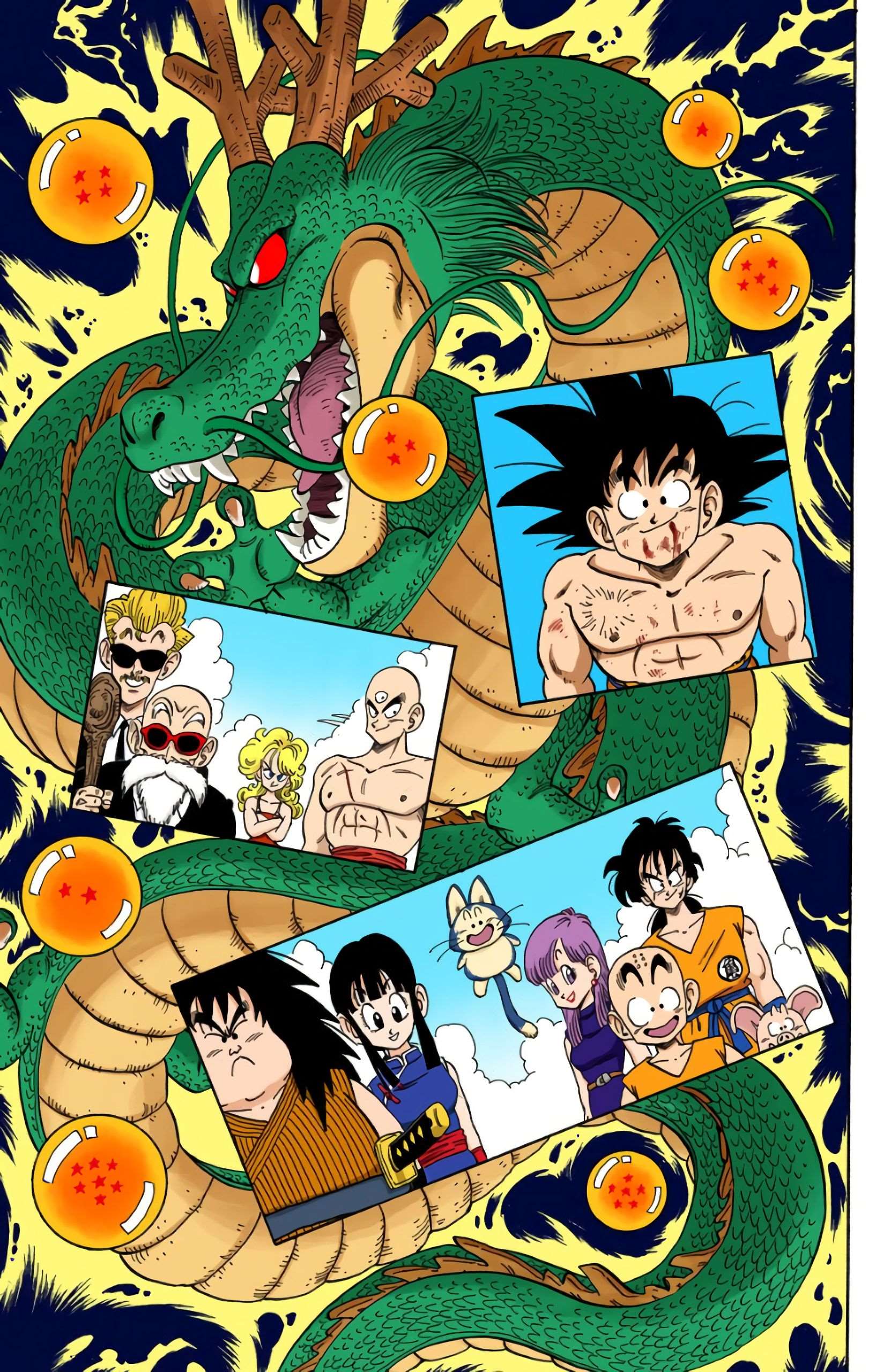 Chapitre 194 — Le cadeau des Dragon Balls — page 9