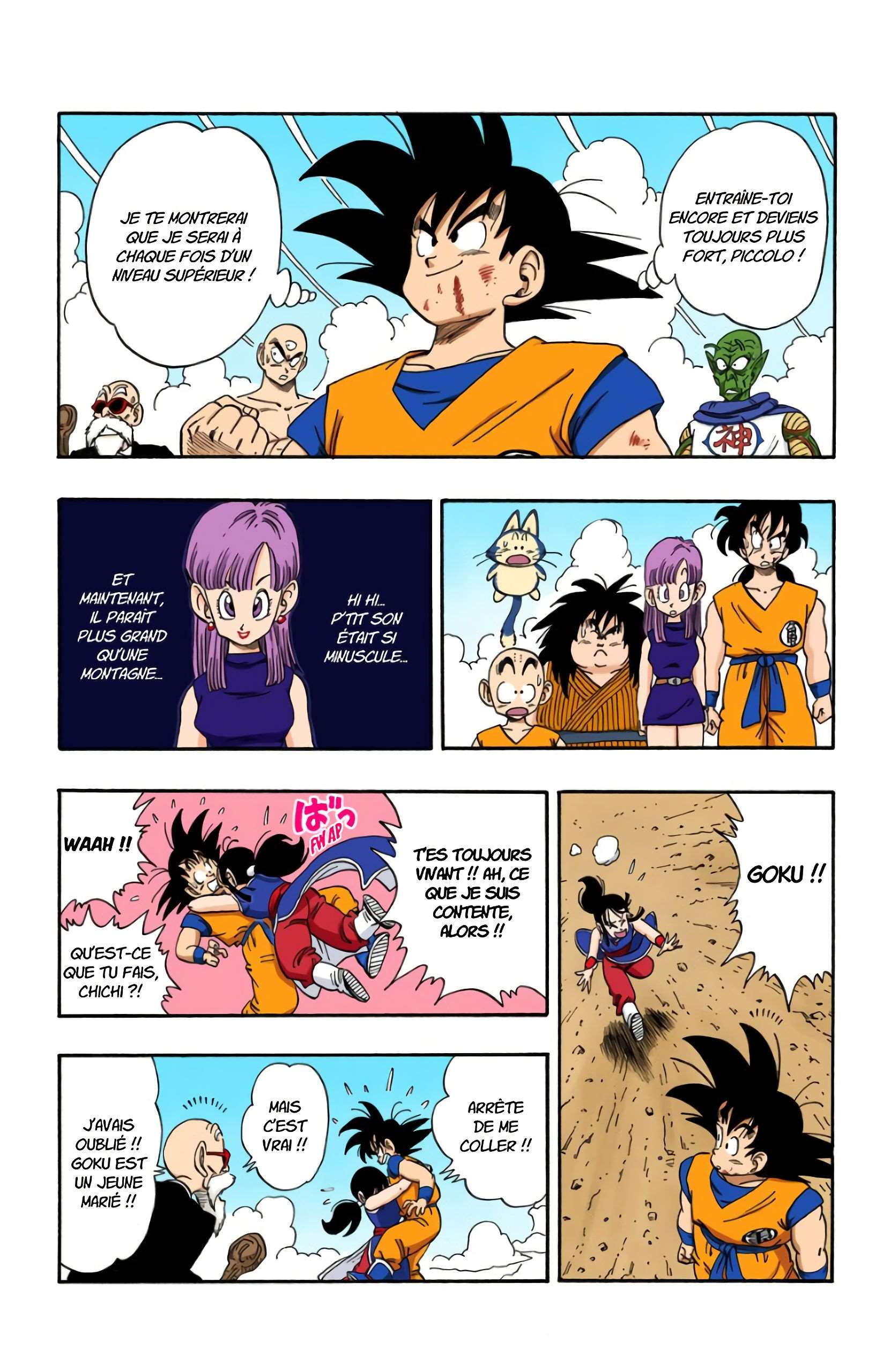 Chapitre 194 — Le cadeau des Dragon Balls — page 13