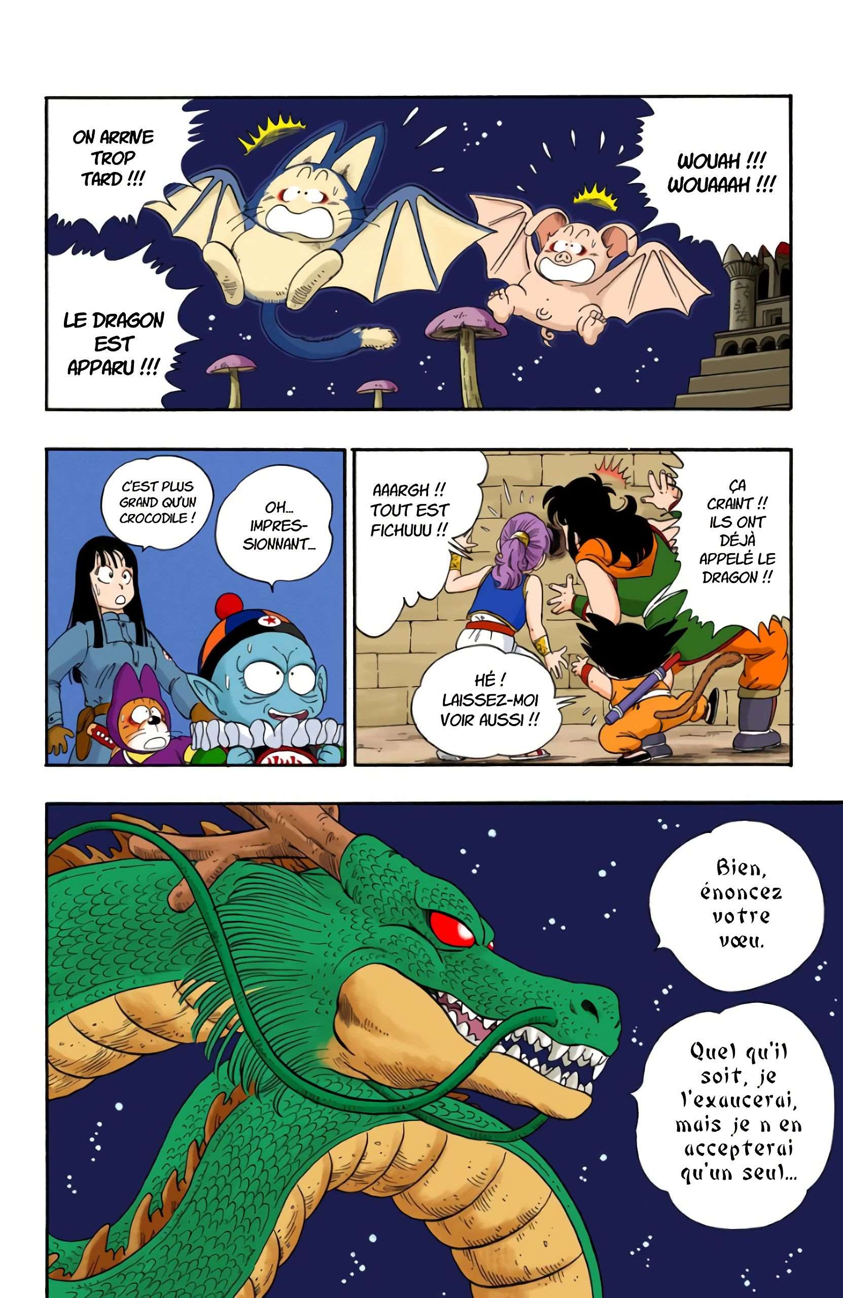 Chapitre 20 — Faites un vœu à Shenron !! — page 4