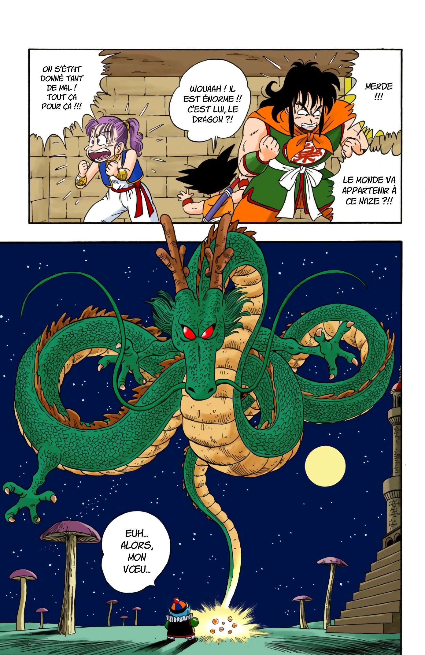 Chapitre 20 — Faites un vœu à Shenron !! — page 5
