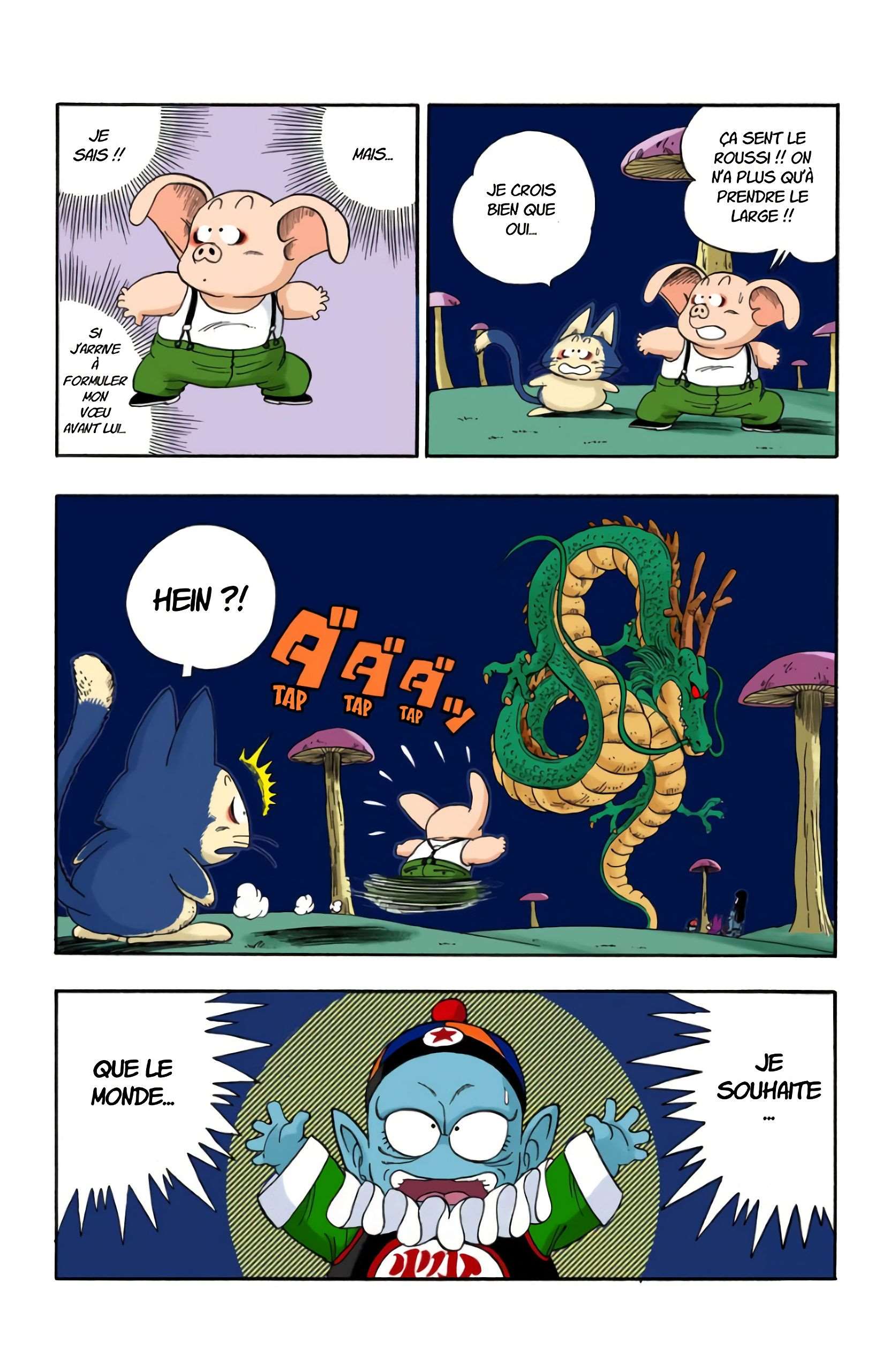Chapitre 20 — Faites un vœu à Shenron !! — page 6