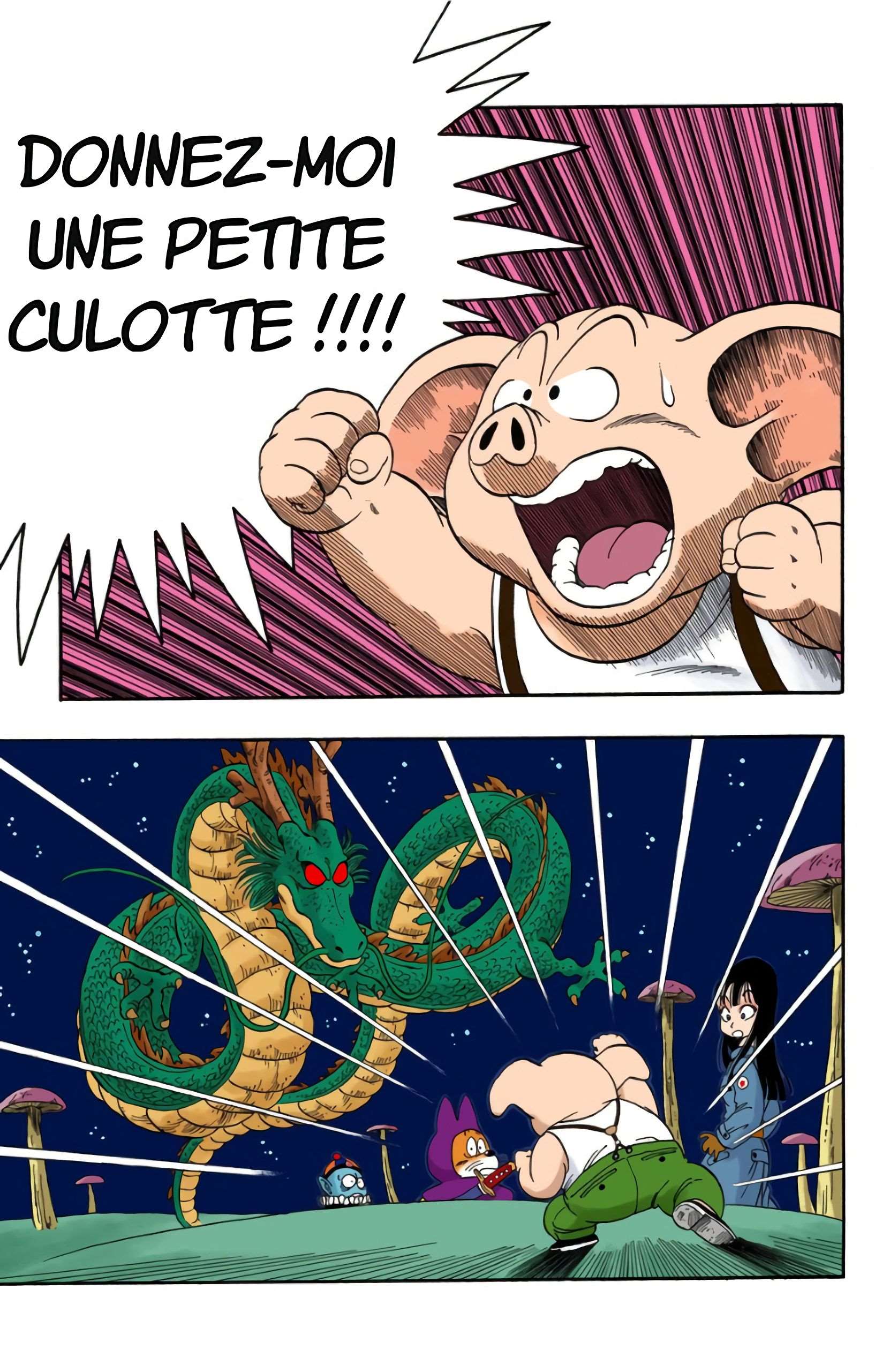 Chapitre 20 — Faites un vœu à Shenron !! — page 7